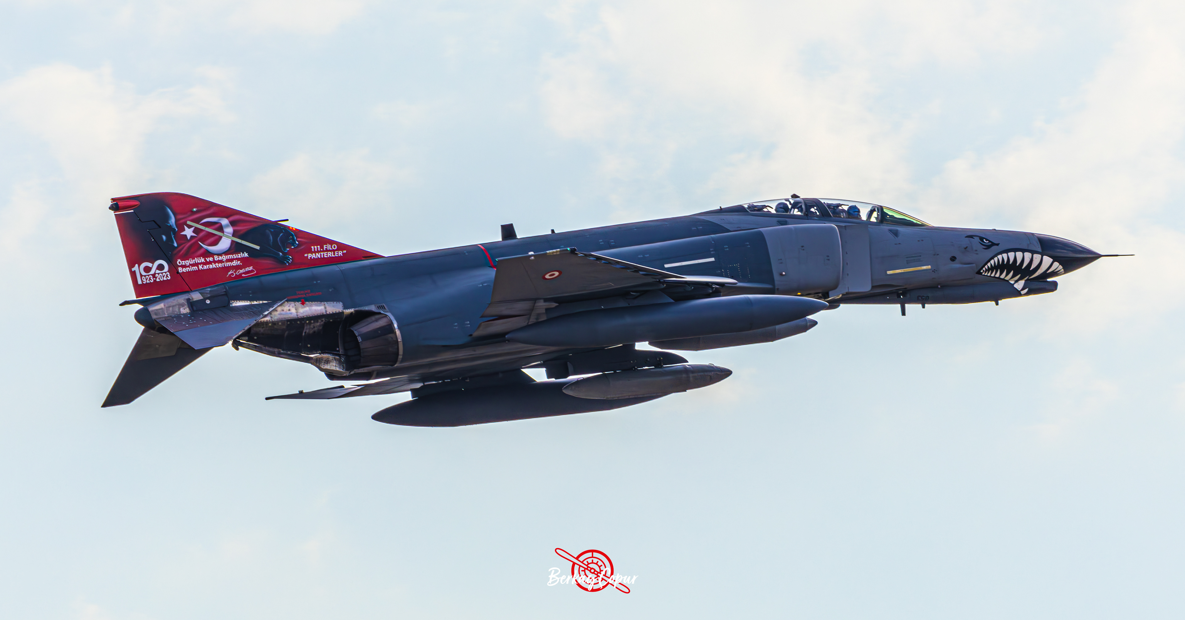  F-4E 2020 Terminator