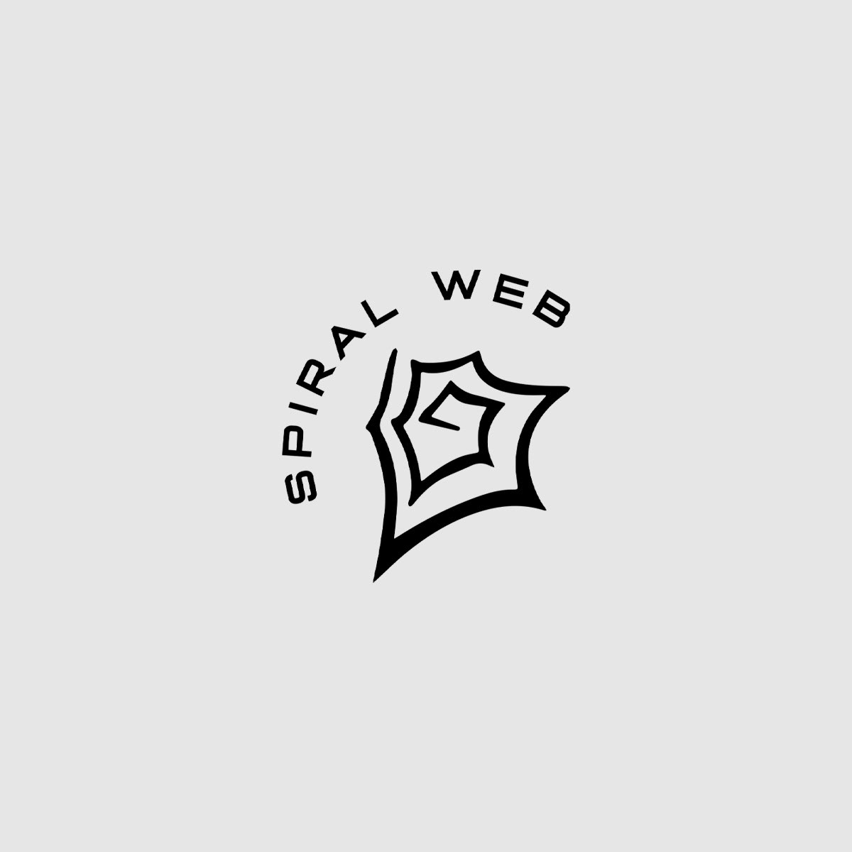Spiral Web IT Services Logo