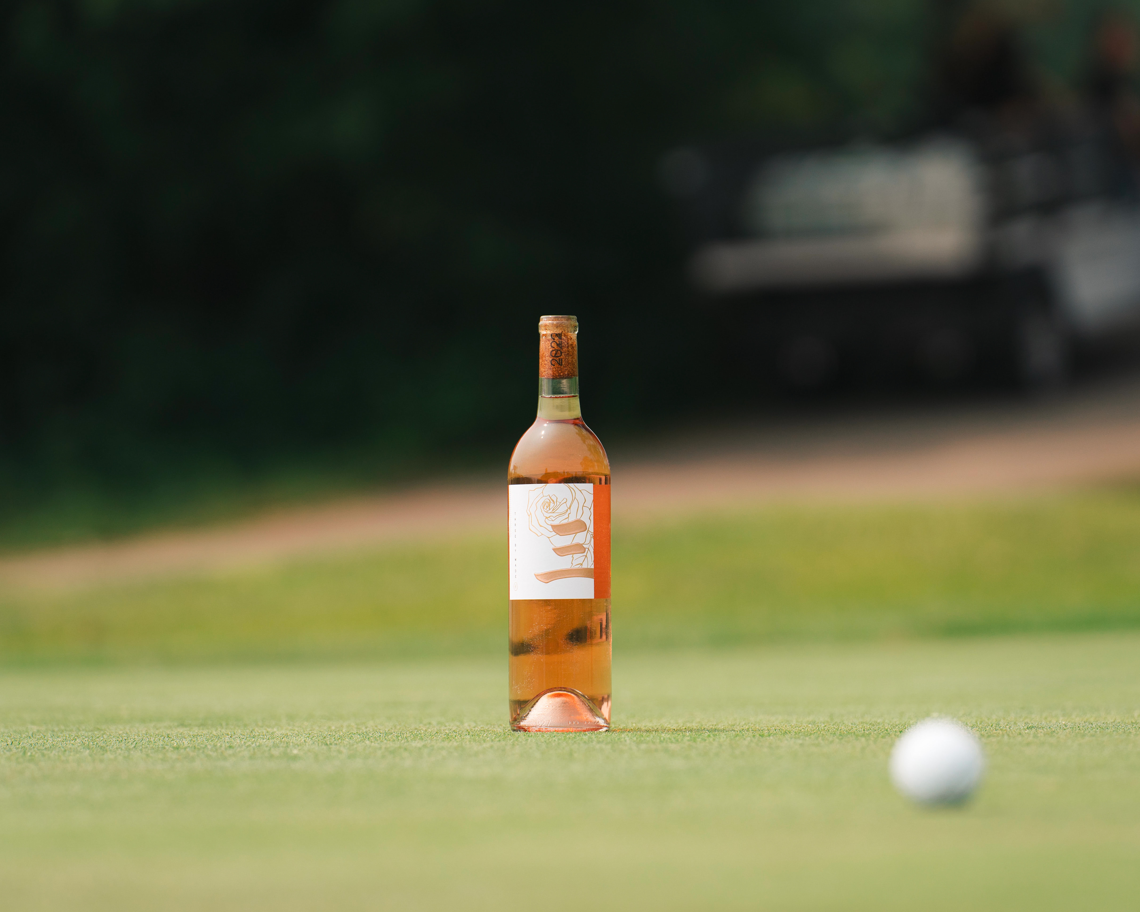 Photos for Wade vs Diener - 2023