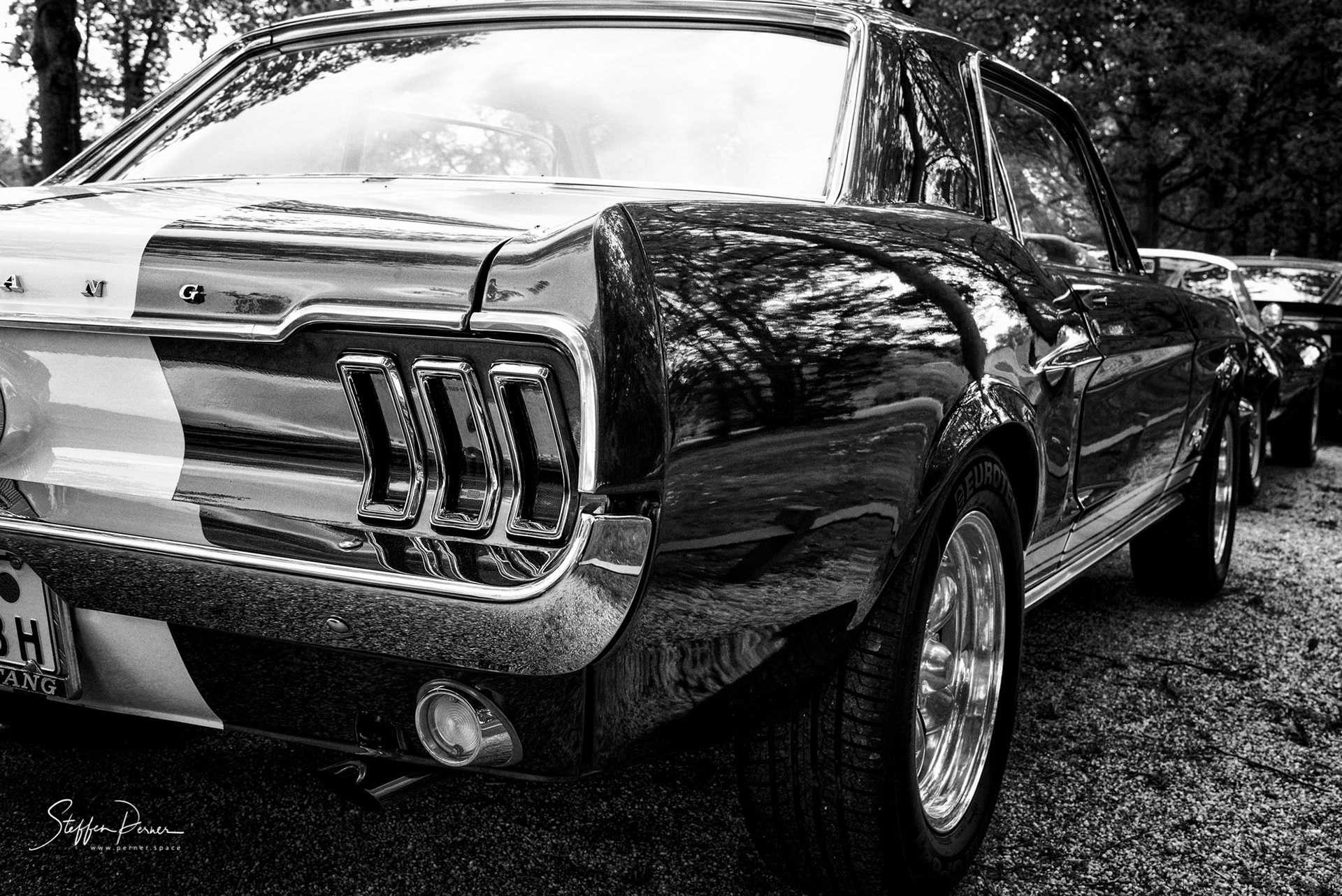 Mustang, Old Timer