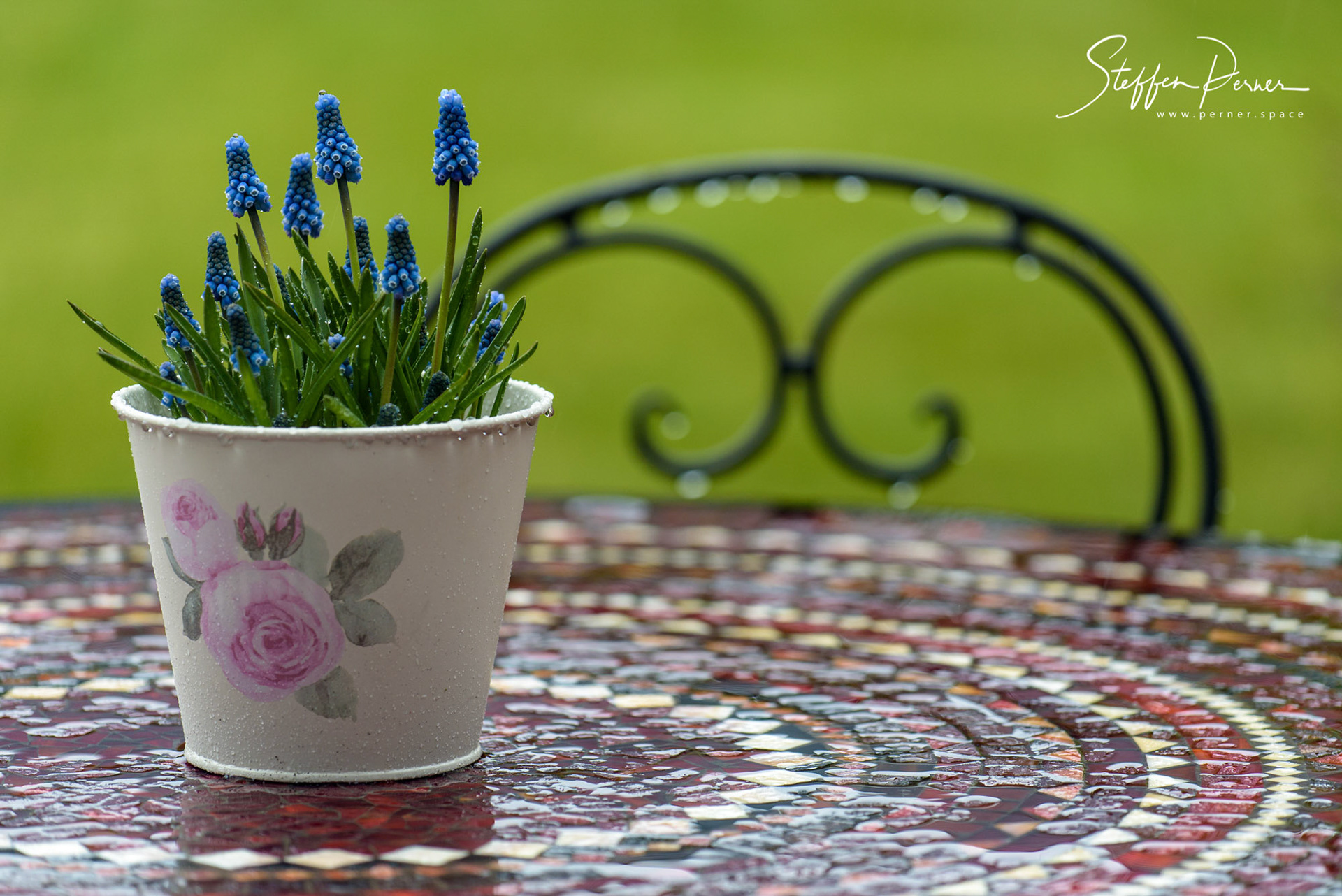 Flowerpot in Rain