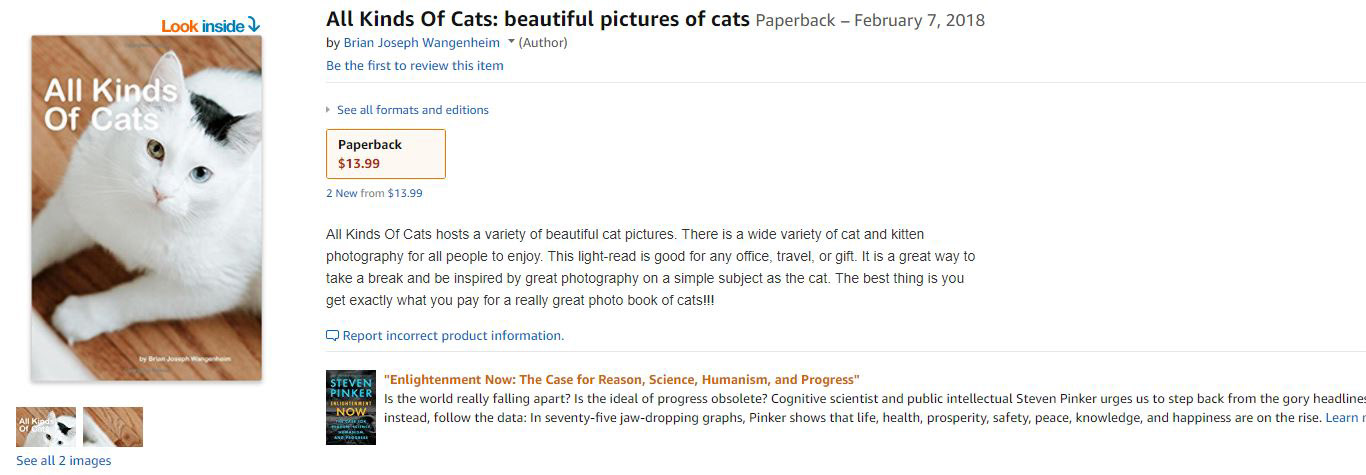 All kinds of cats: beautiful pictures of cats