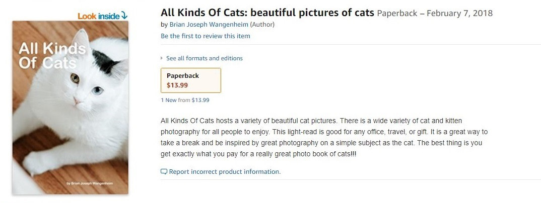 All Kinds Of Cats: beautiful pictures of cats