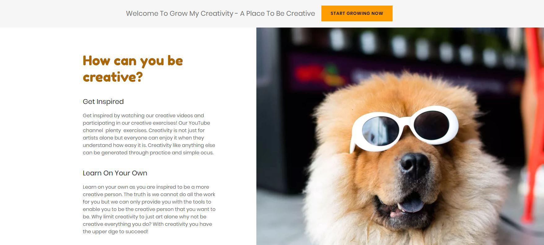 grow my creativity dog