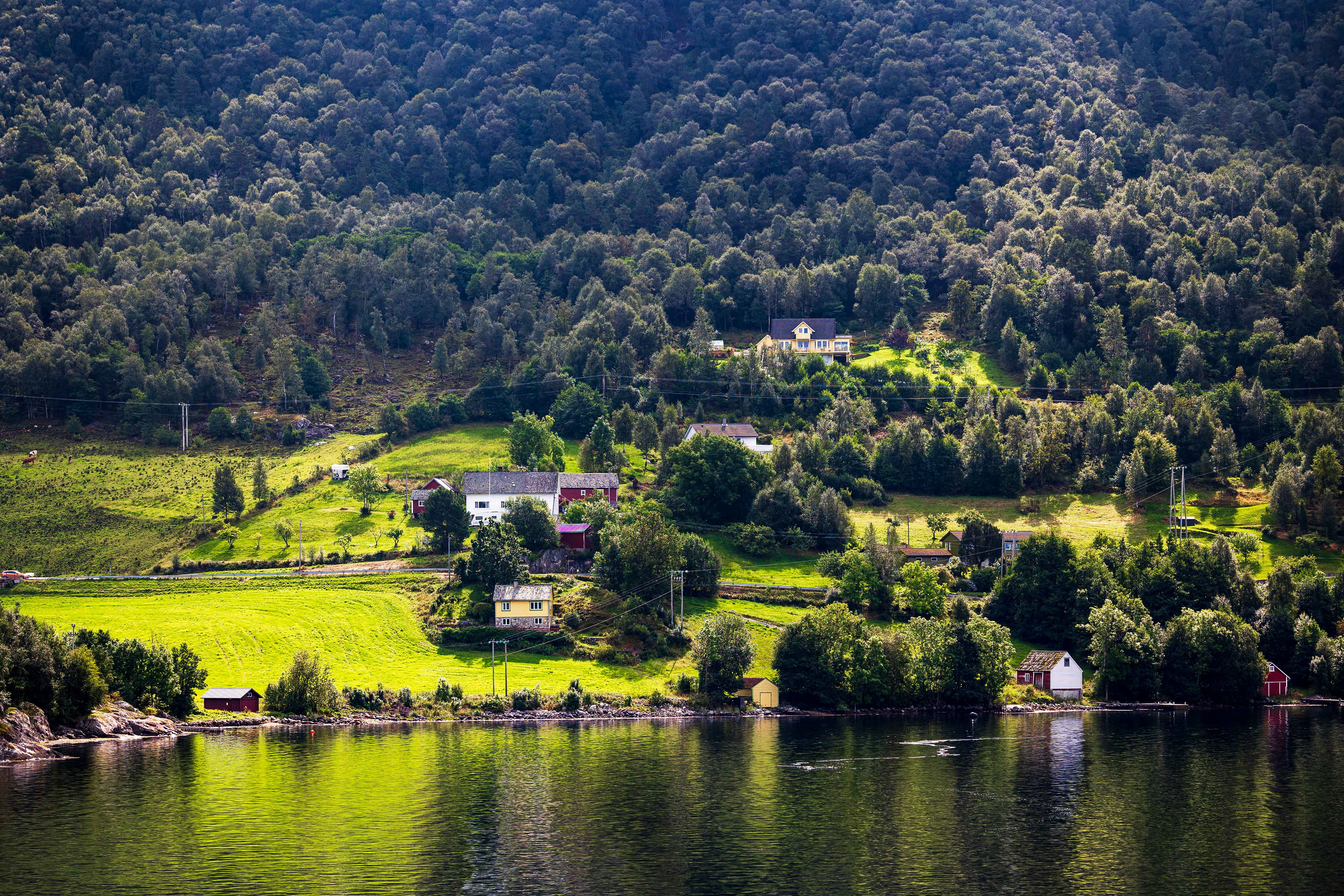 Rosendal
