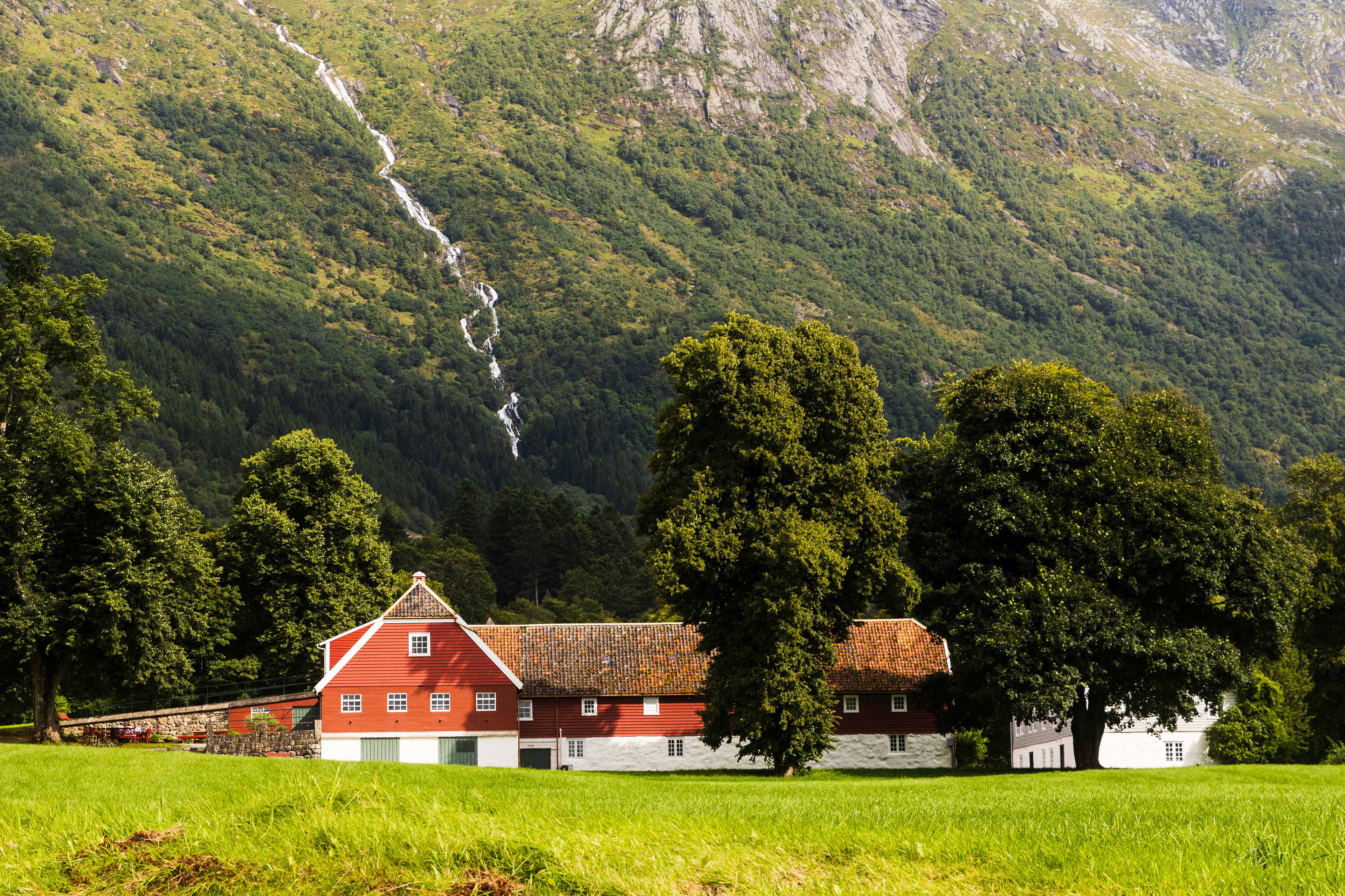 Rosendal