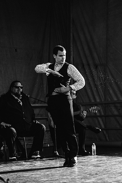 Calderon Dance Festival