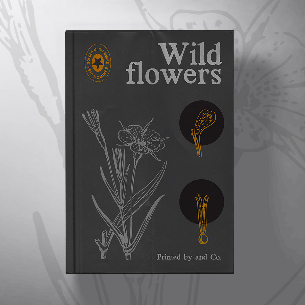 Wildflower Book Cover