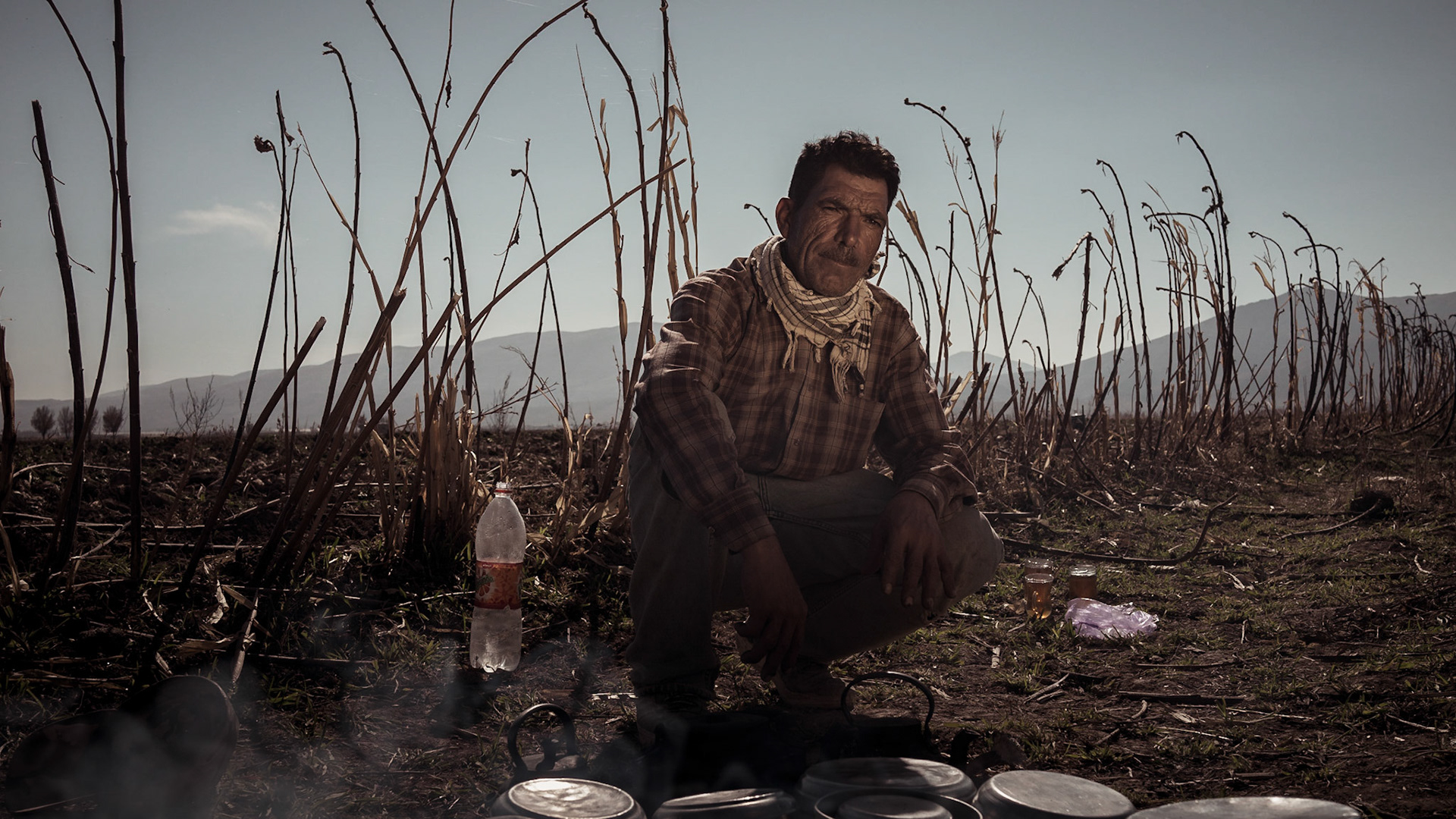 Field worker preparing food for thier lunch. Shiraz, Iran