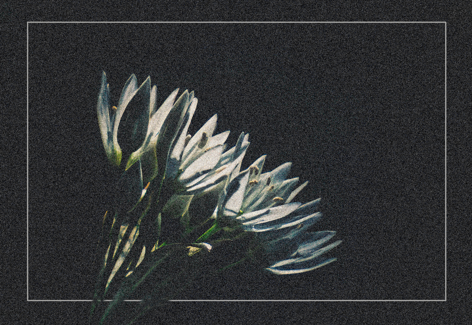 Summer Approaching 2