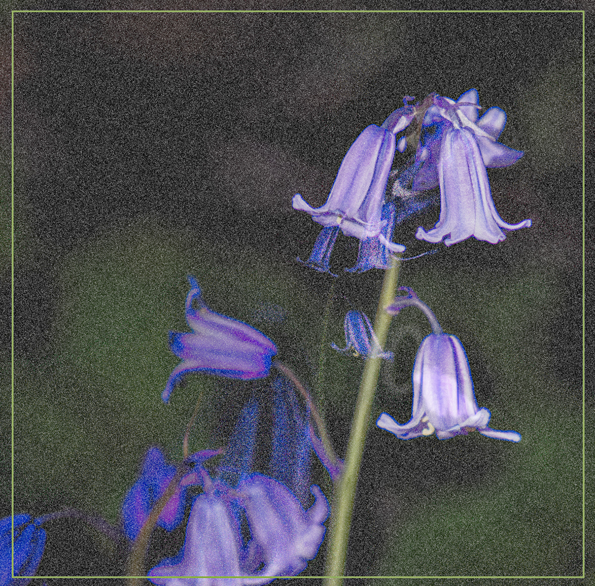 Summer Approaching 1