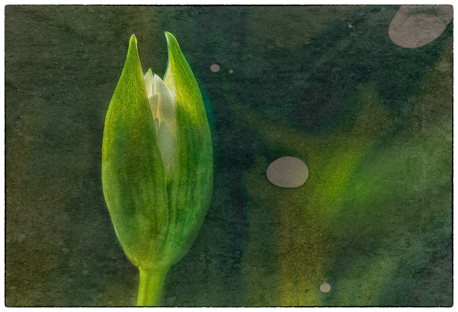 Emerging
