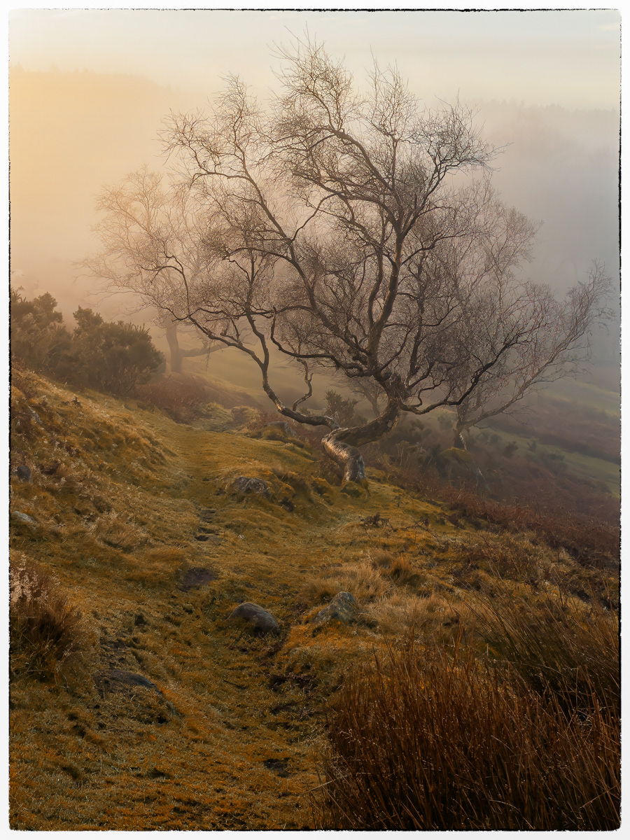 Longshaw Estate