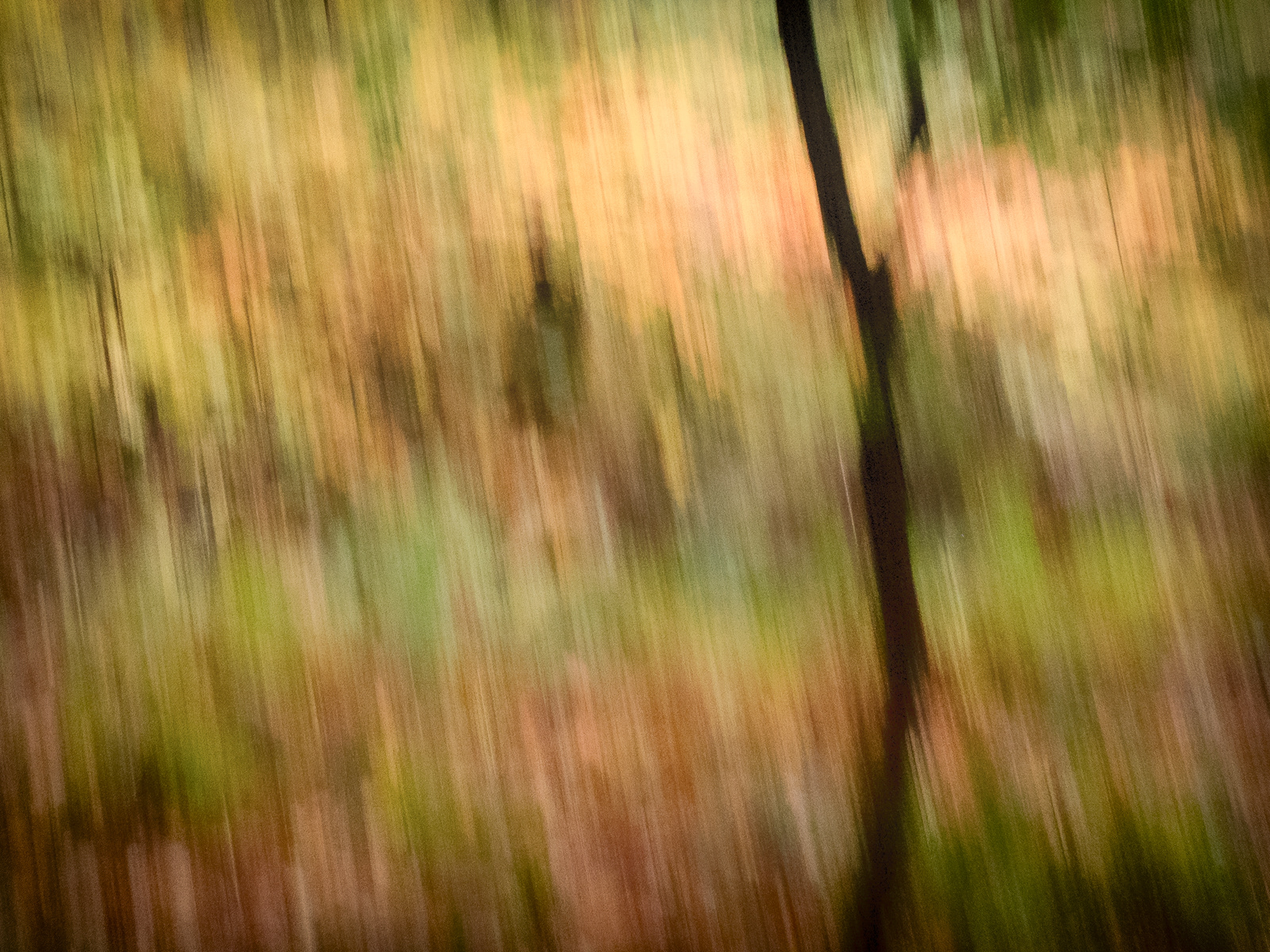 Padley Gorge -ICM