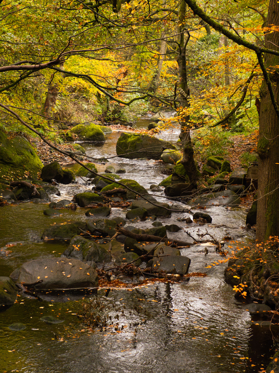Padley Gorge