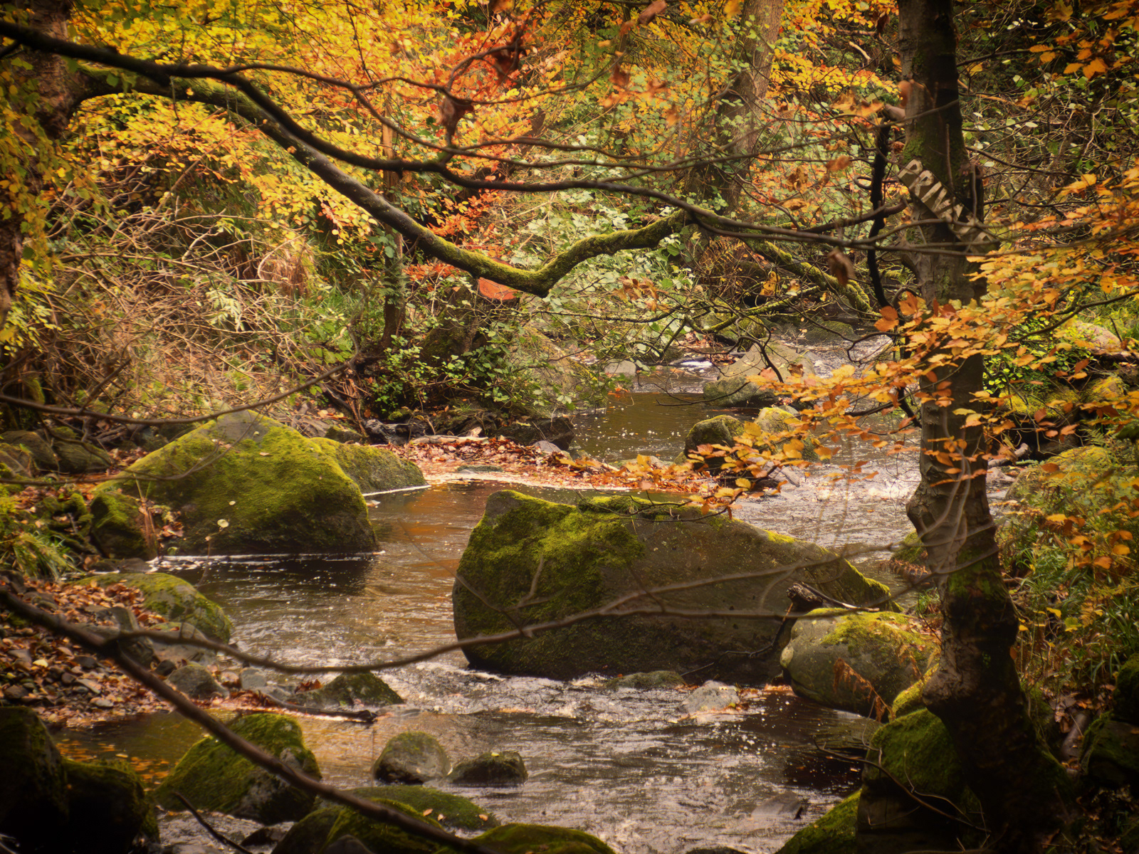 Padley Gorge