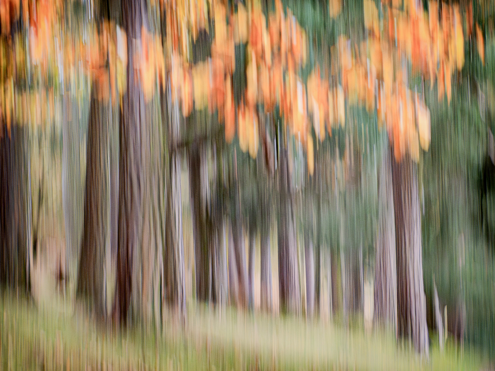 Padley Gorge - ICM