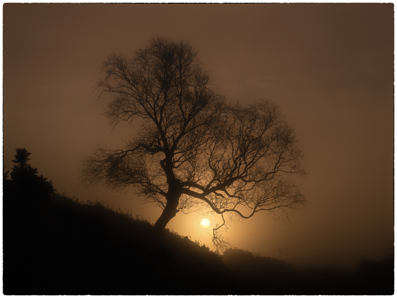 Longshaw Estate
