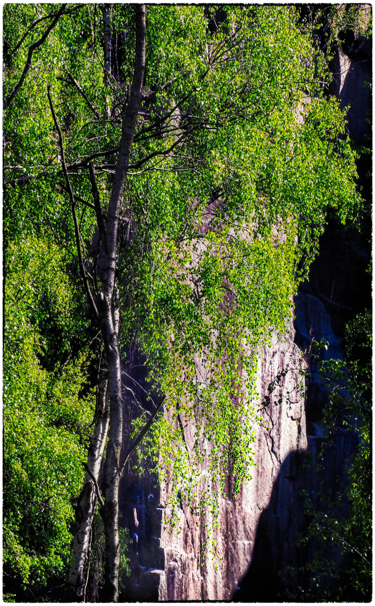 Bolehill Quarry