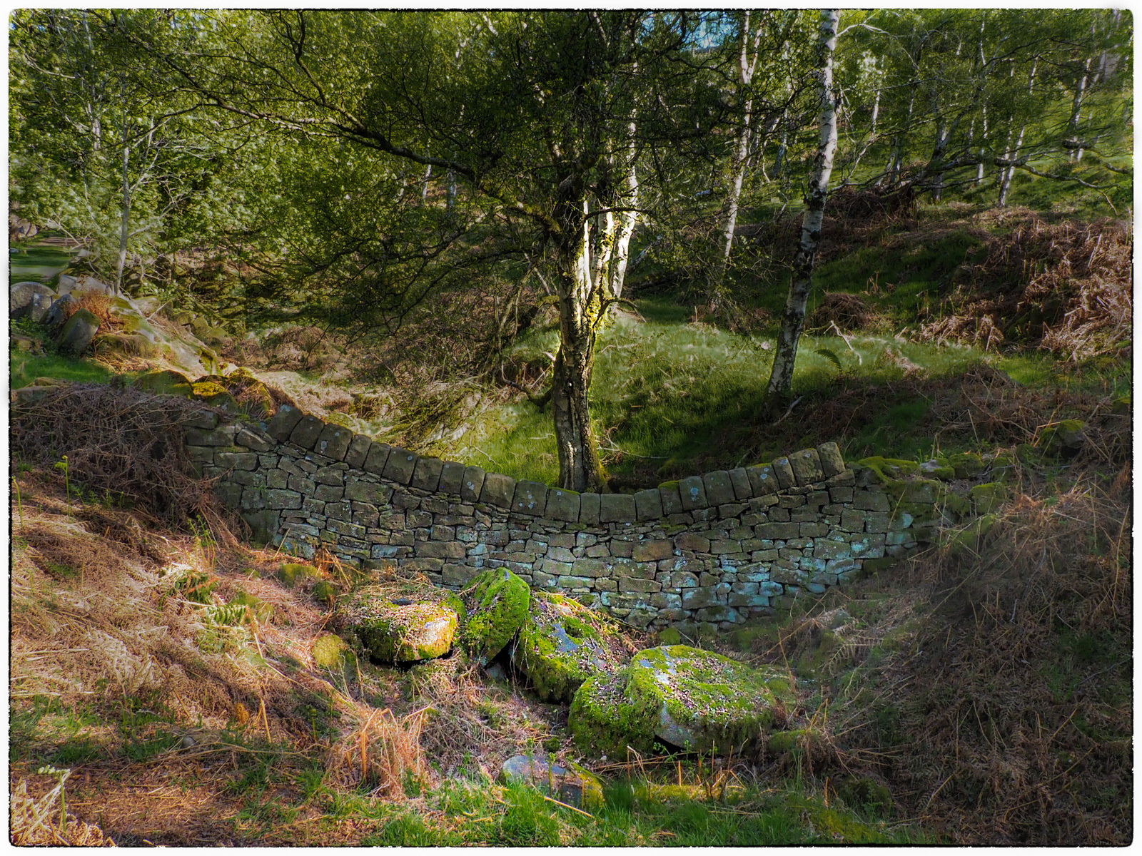 Bolehill Quarry