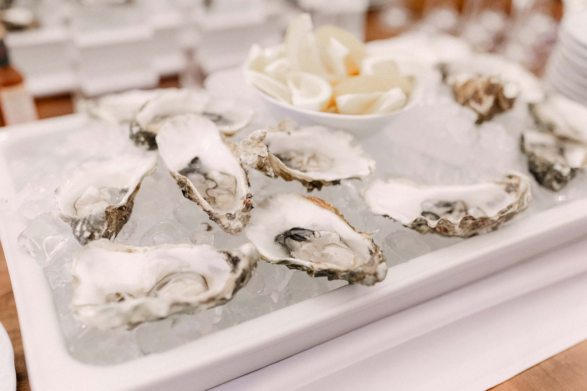 GOYA VITALITY HOTEL, VODERADY MANOR HOUSE Event: Hotel & Restaurant pre-opening and opening