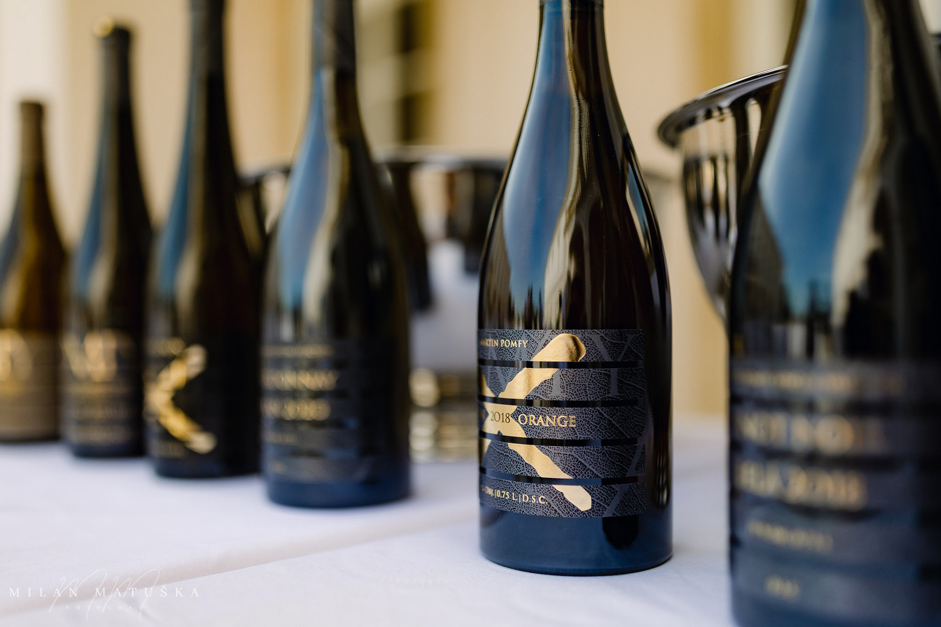 HAPPY HEARTS FOUNDATION, SLOVAKIA Benefit Event: Charity dinner for heart children