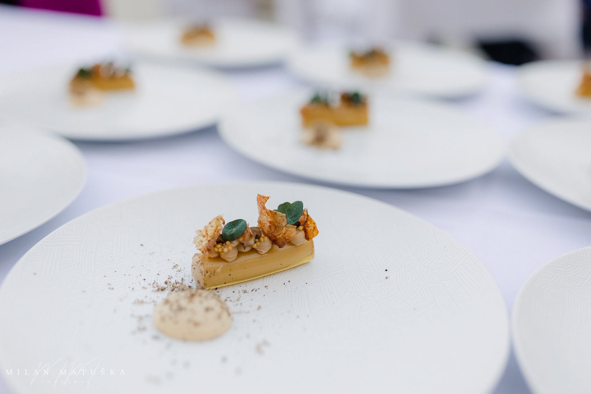 HAPPY HEARTS FOUNDATION, SLOVAKIA Benefit Event: Charity dinner for heart children