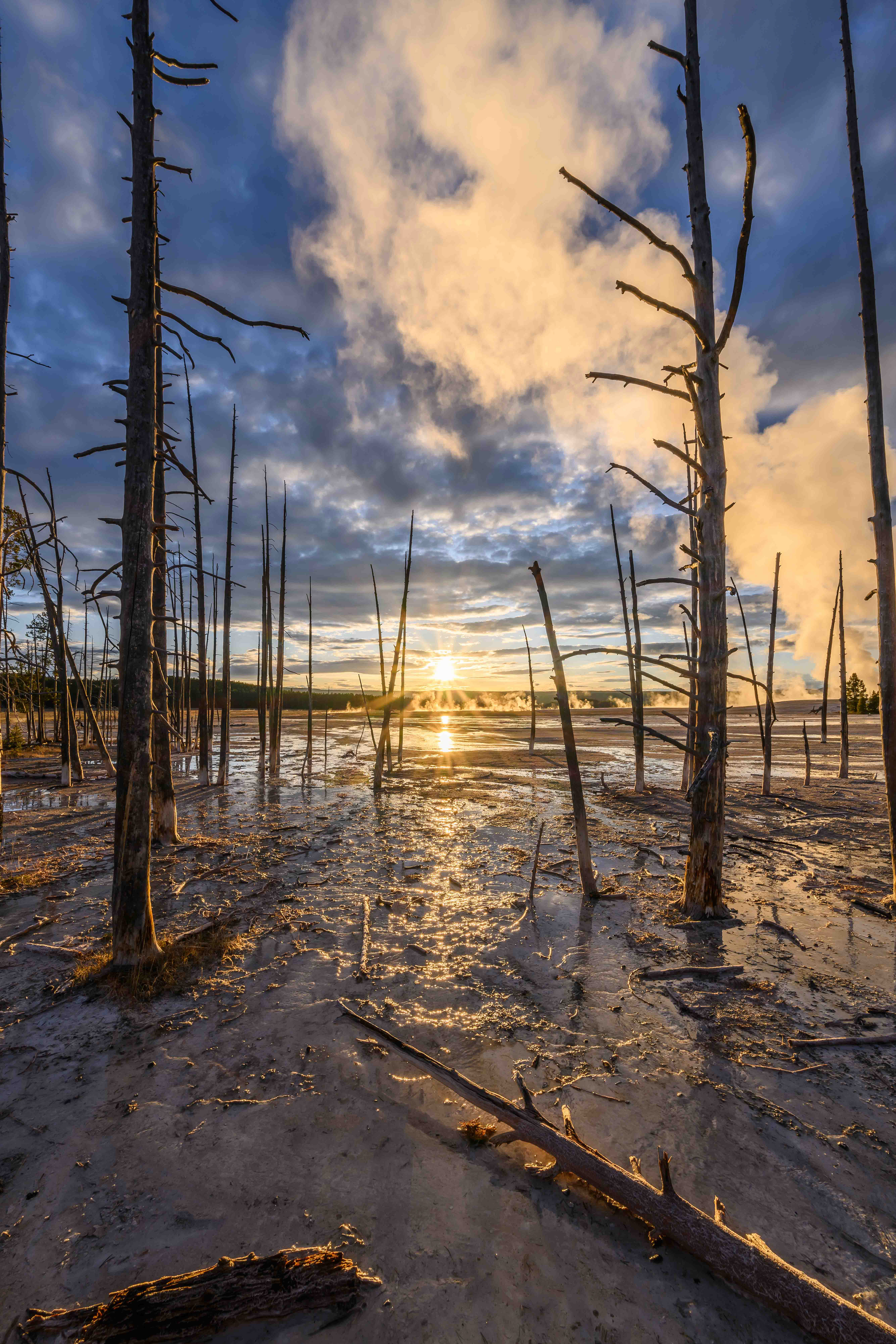 Geothermal Sunset. Yellowstone National Park