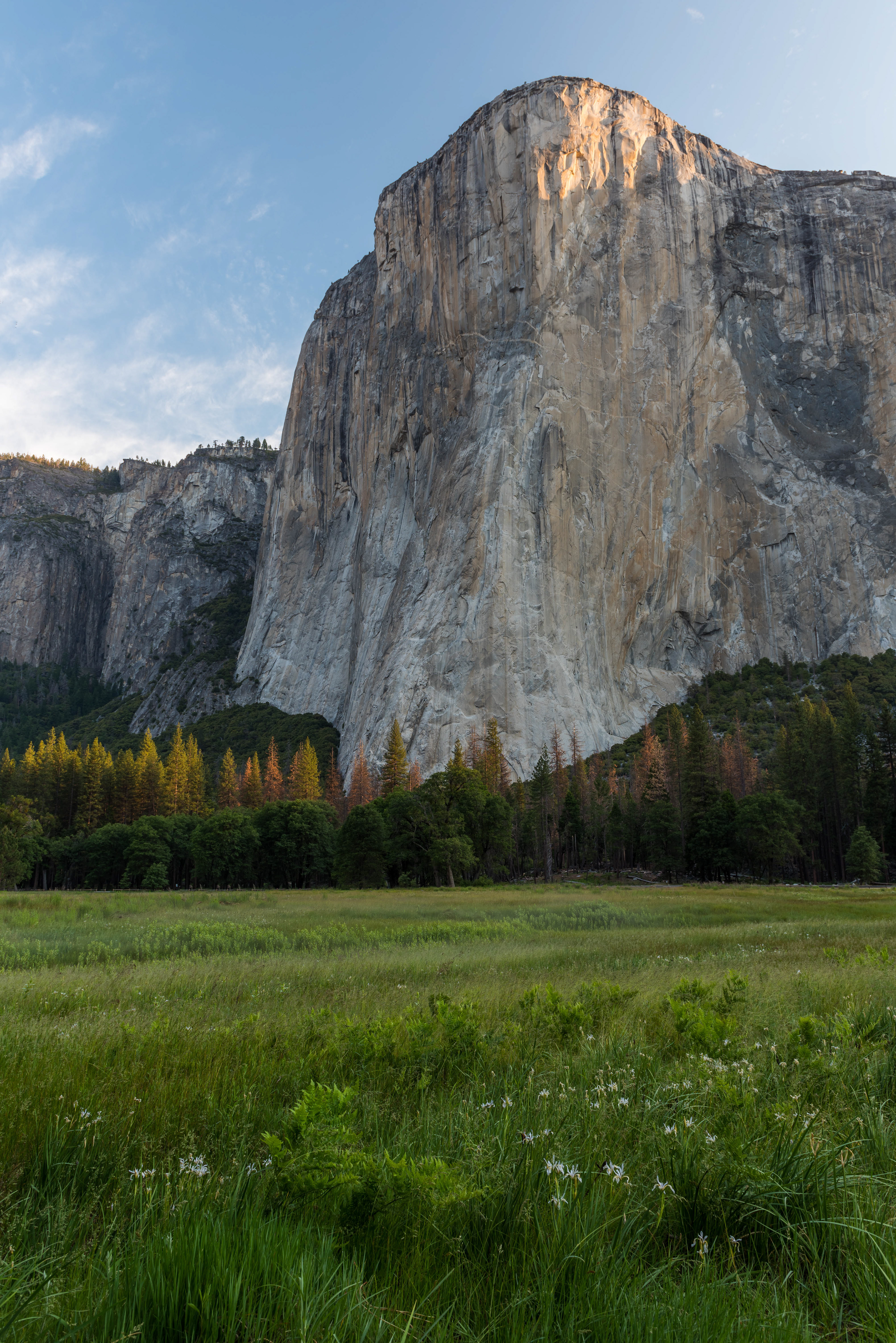 First Light on El Cap. Yosemite National Park