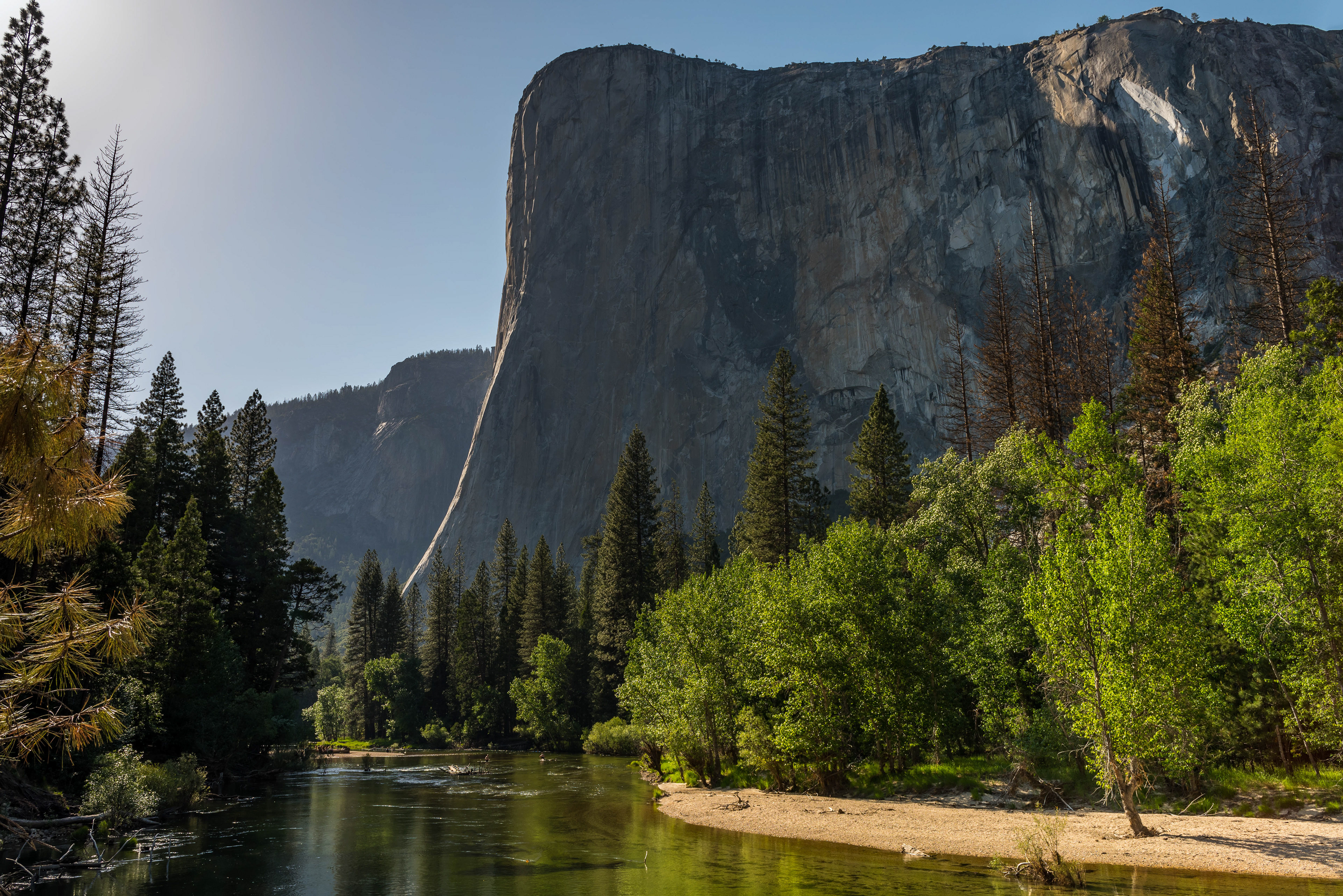 Rim Light on El Cap. Yosemite National Park