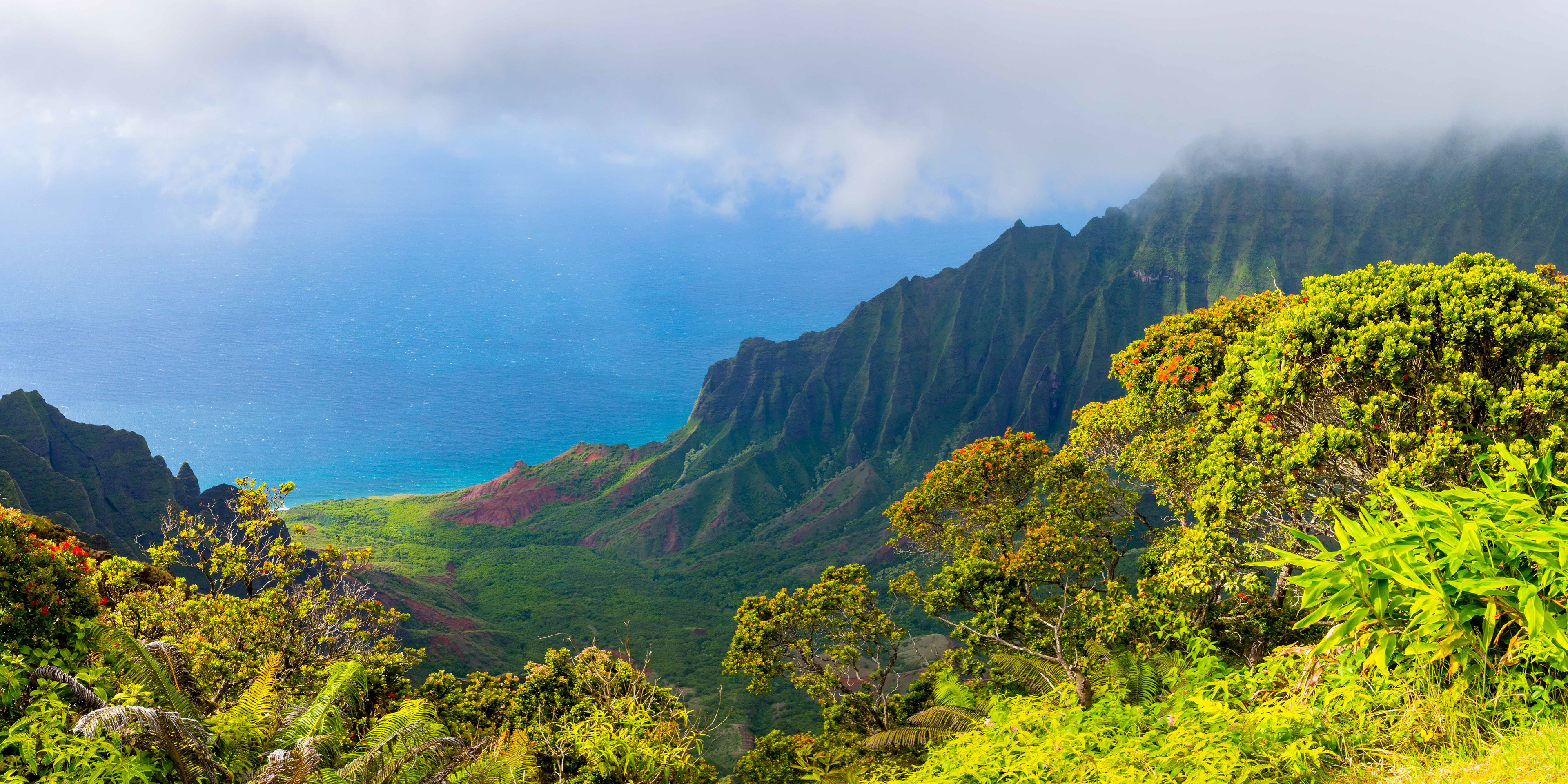 Cliffs on the Coast. Napali Coast, Kauai