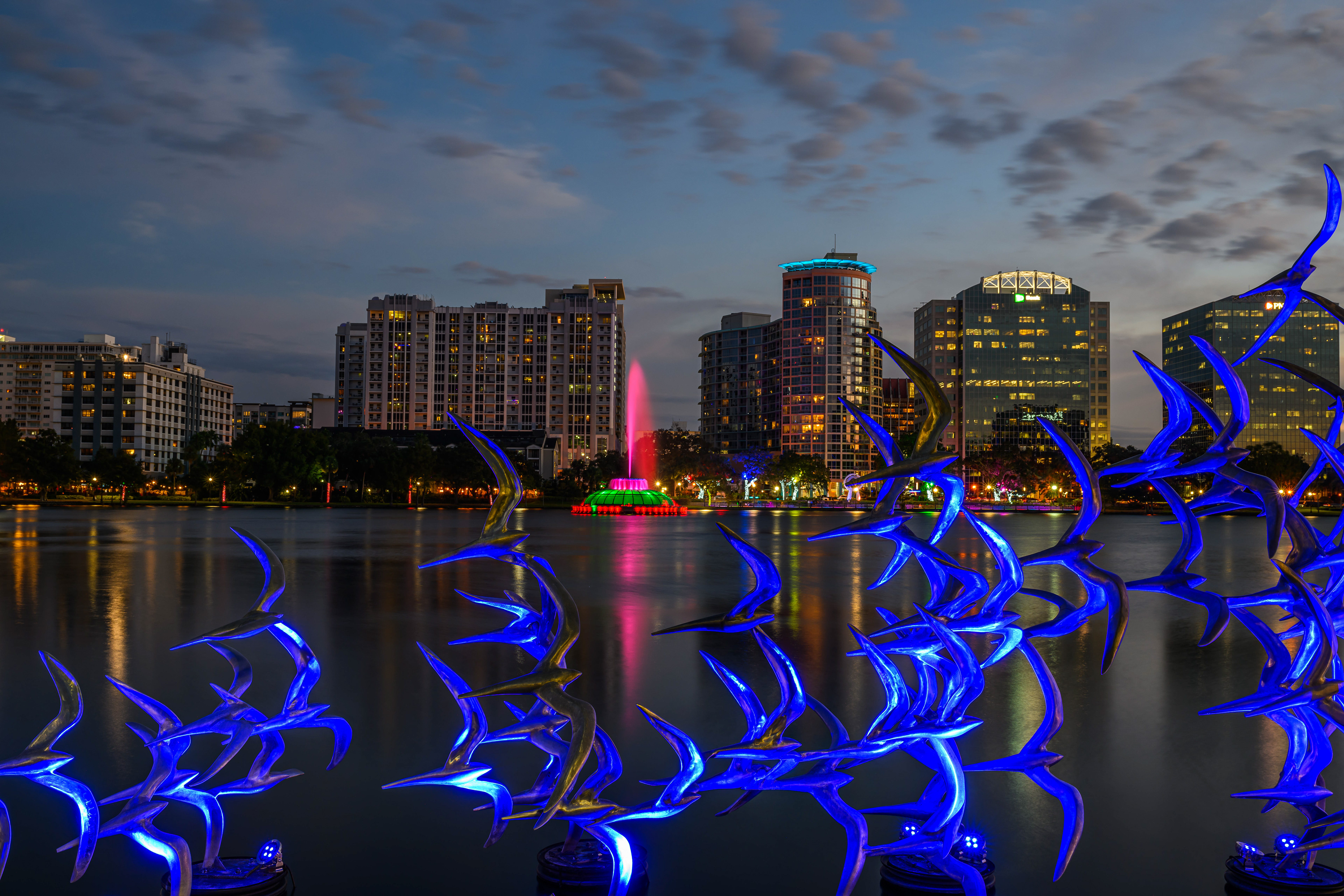Lake Eola "Wildlife." Orlando