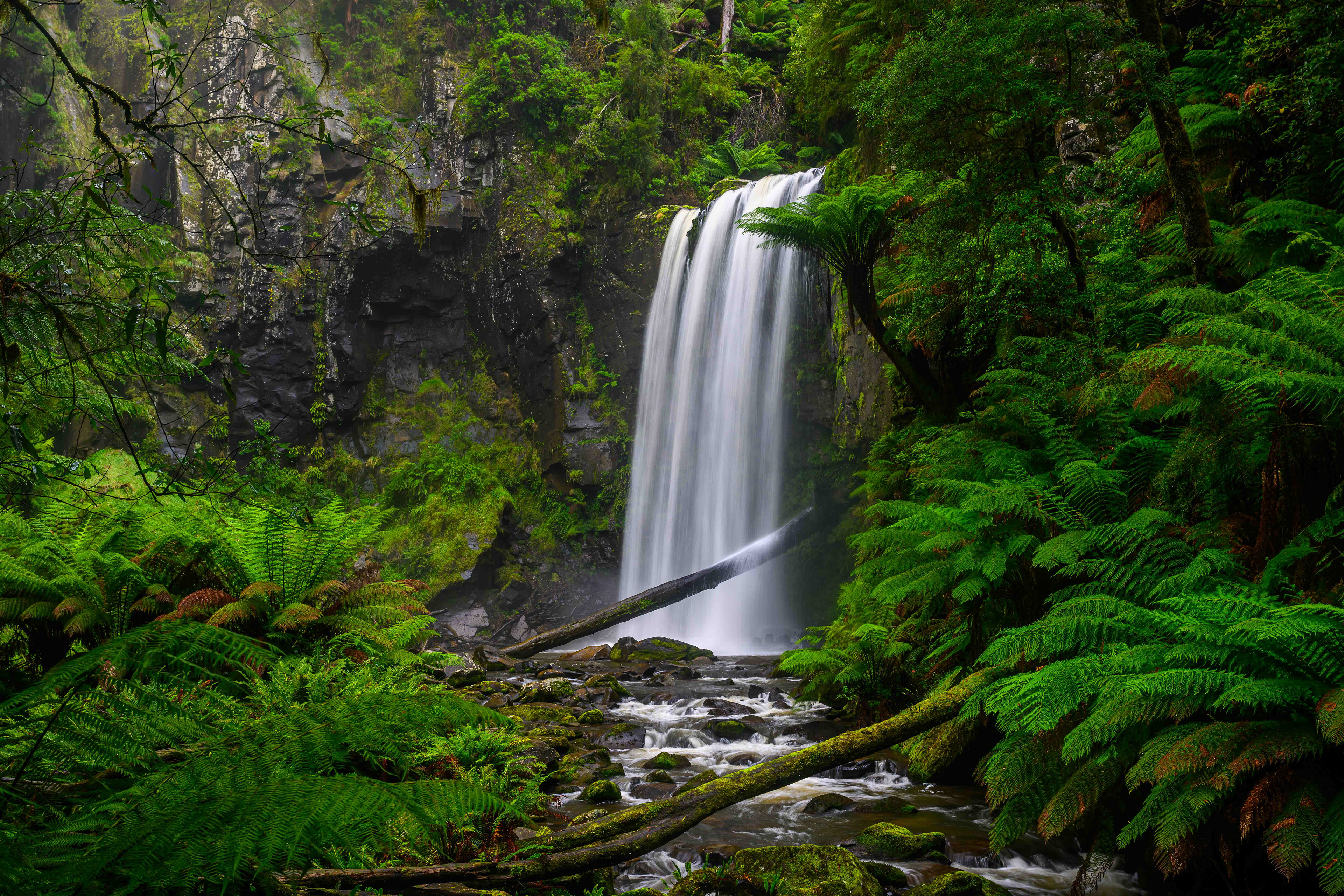 Hopetoun Falls. Great Otway National Park, Australia
