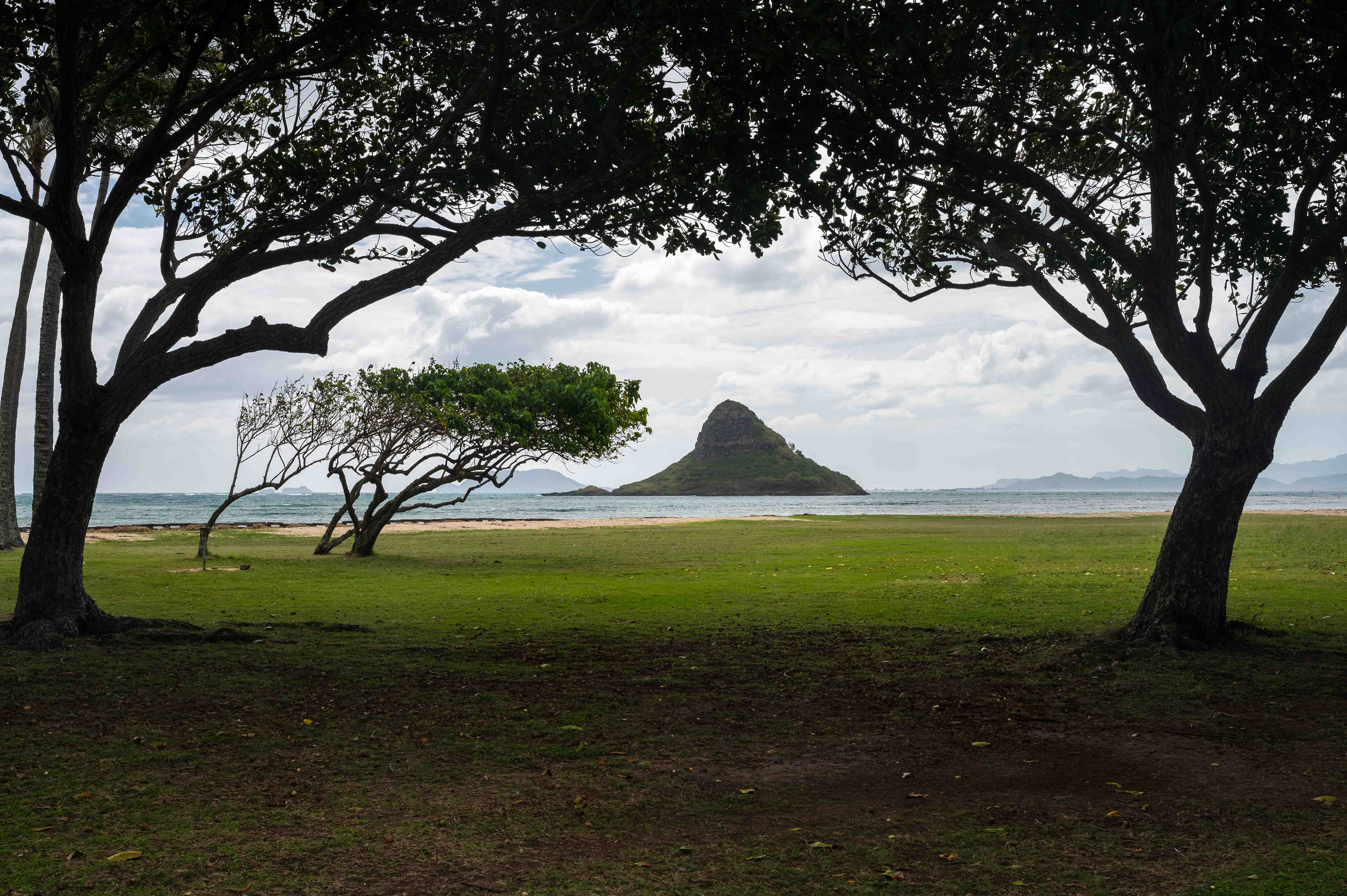 Windswept. Oahu
