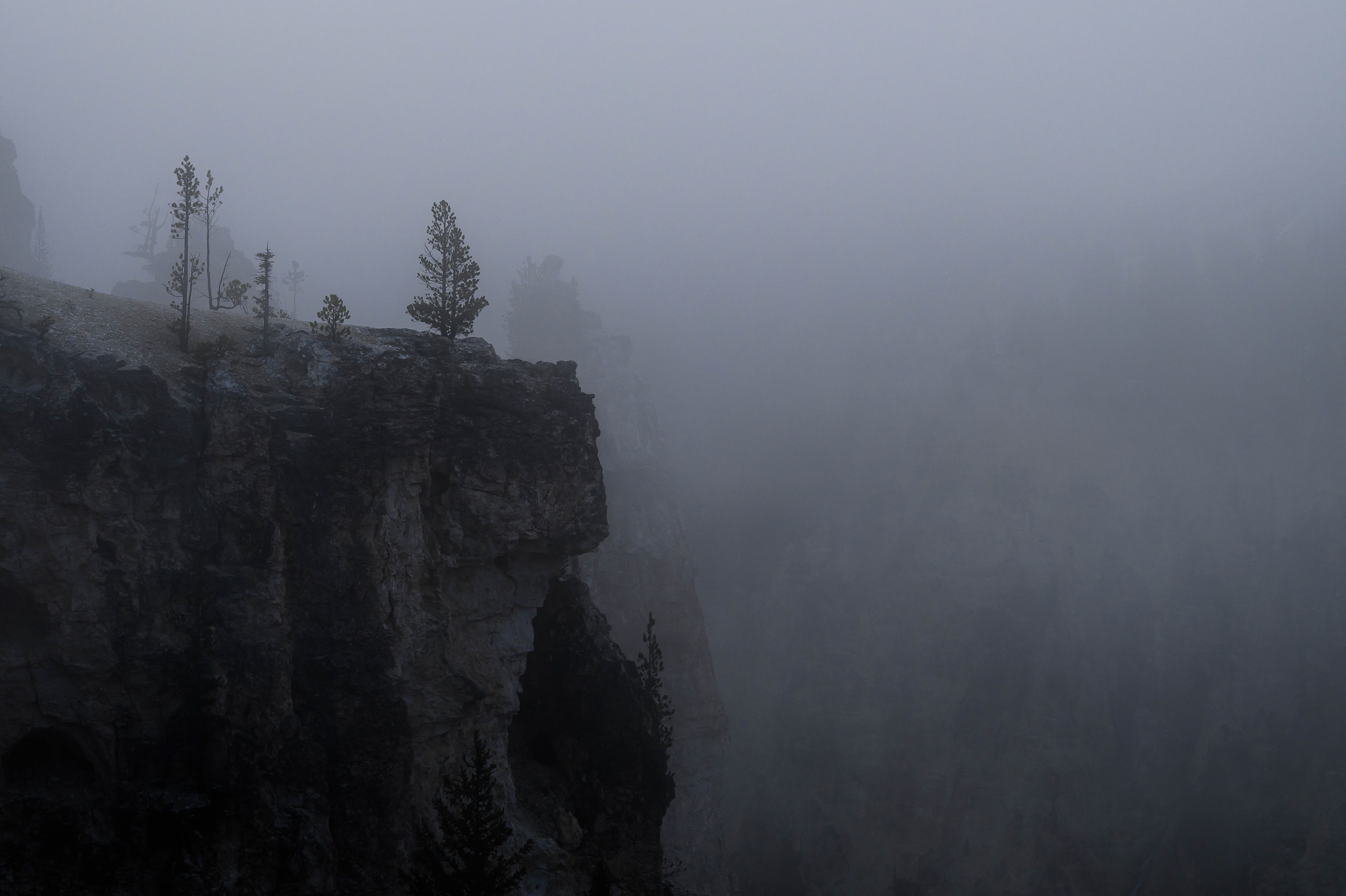 Foggy "Sunrise." Yellowstone National Park