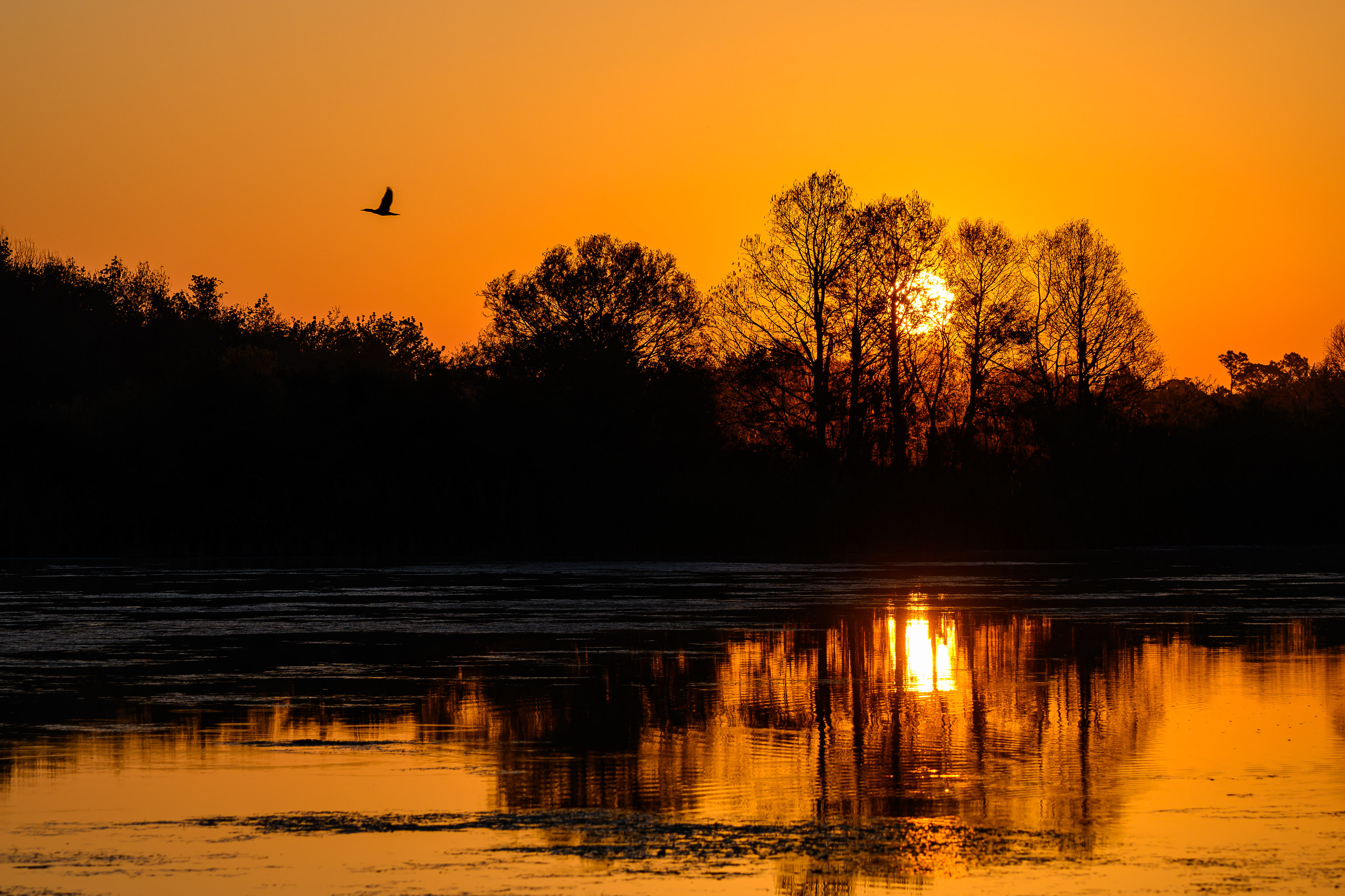 Sunrise Reflections. Florida