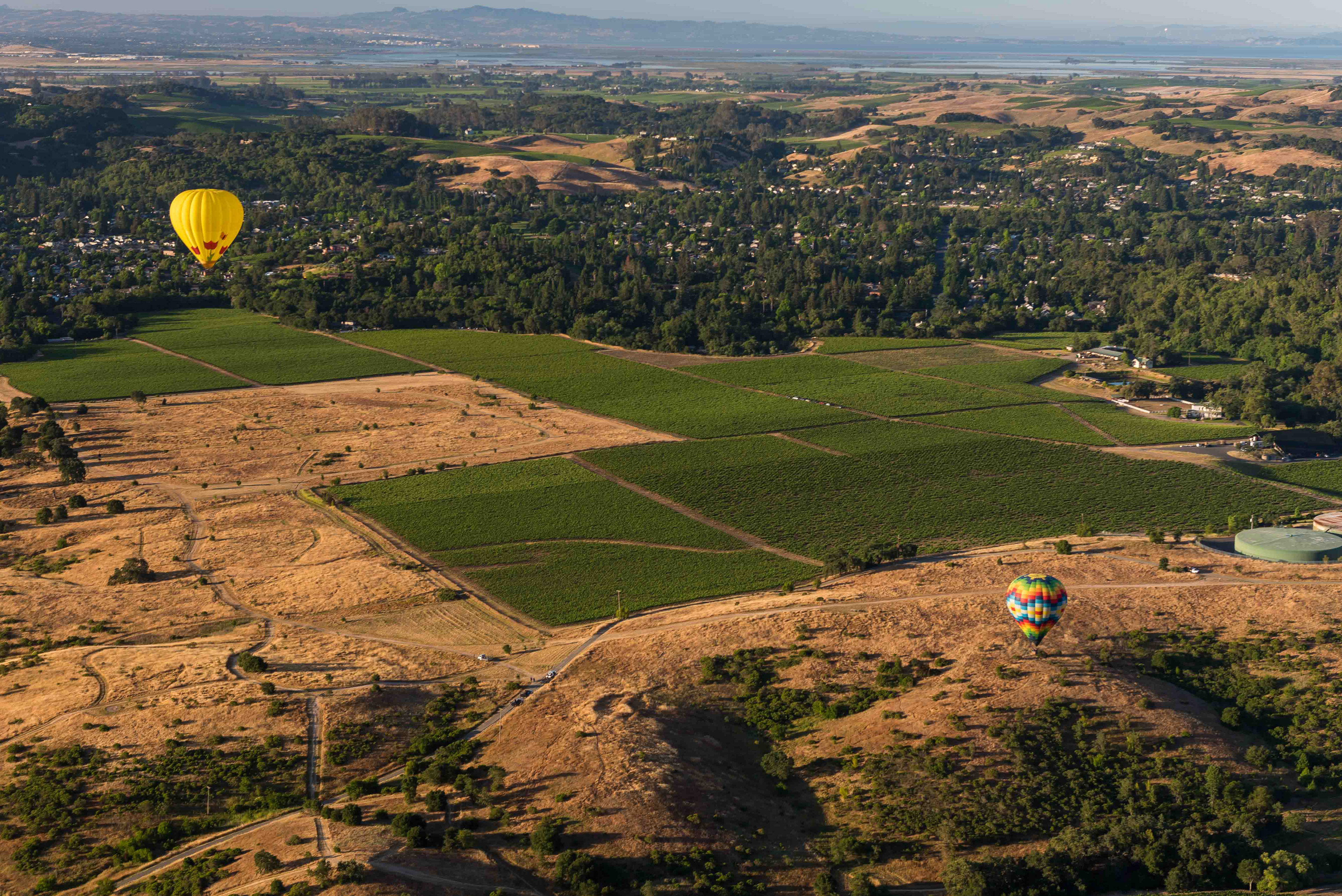 Floating over Napa. California