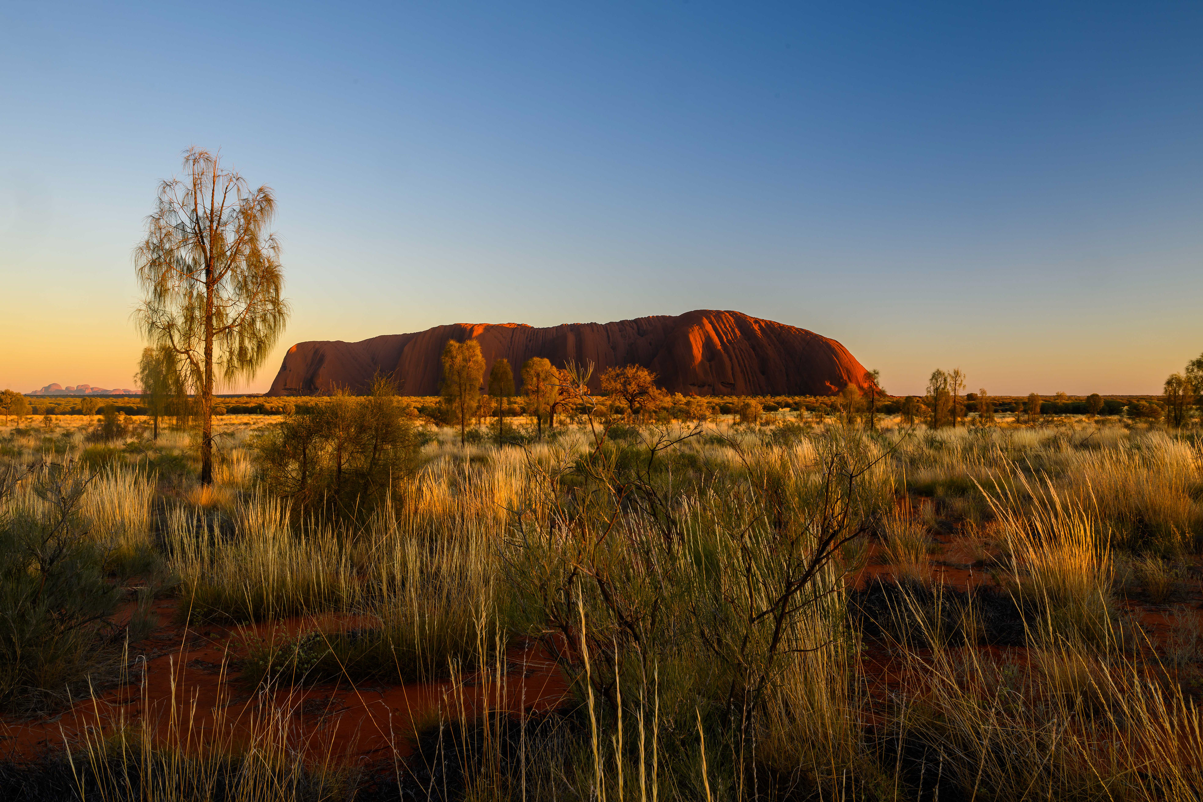 Uluṟu Sunrise. Uluṟu-Kata Tjuṯa National Park, Australia