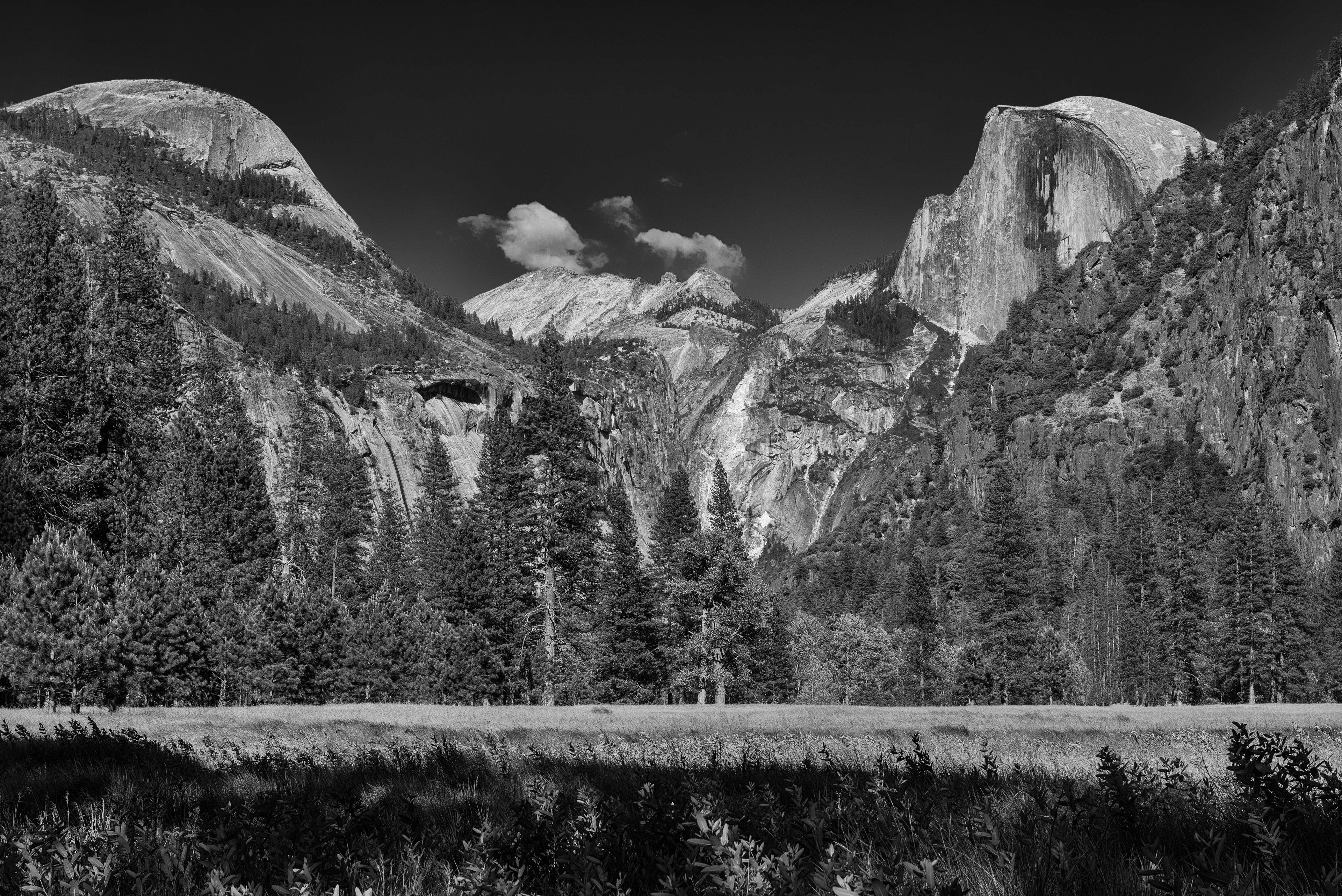 Half Dome. Yosemite National Park