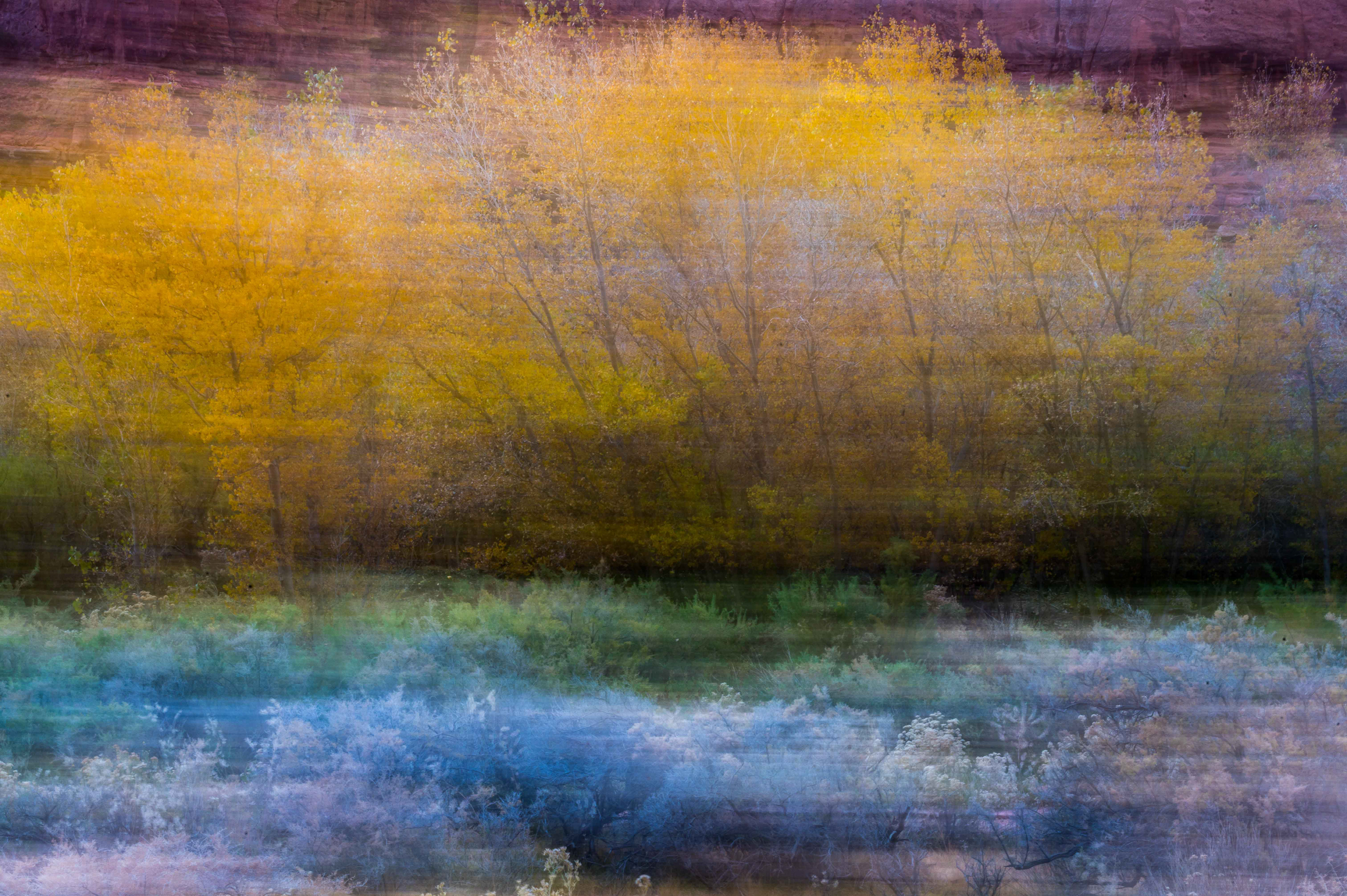 Red Rocks and Fall Colors. Moab, Utah