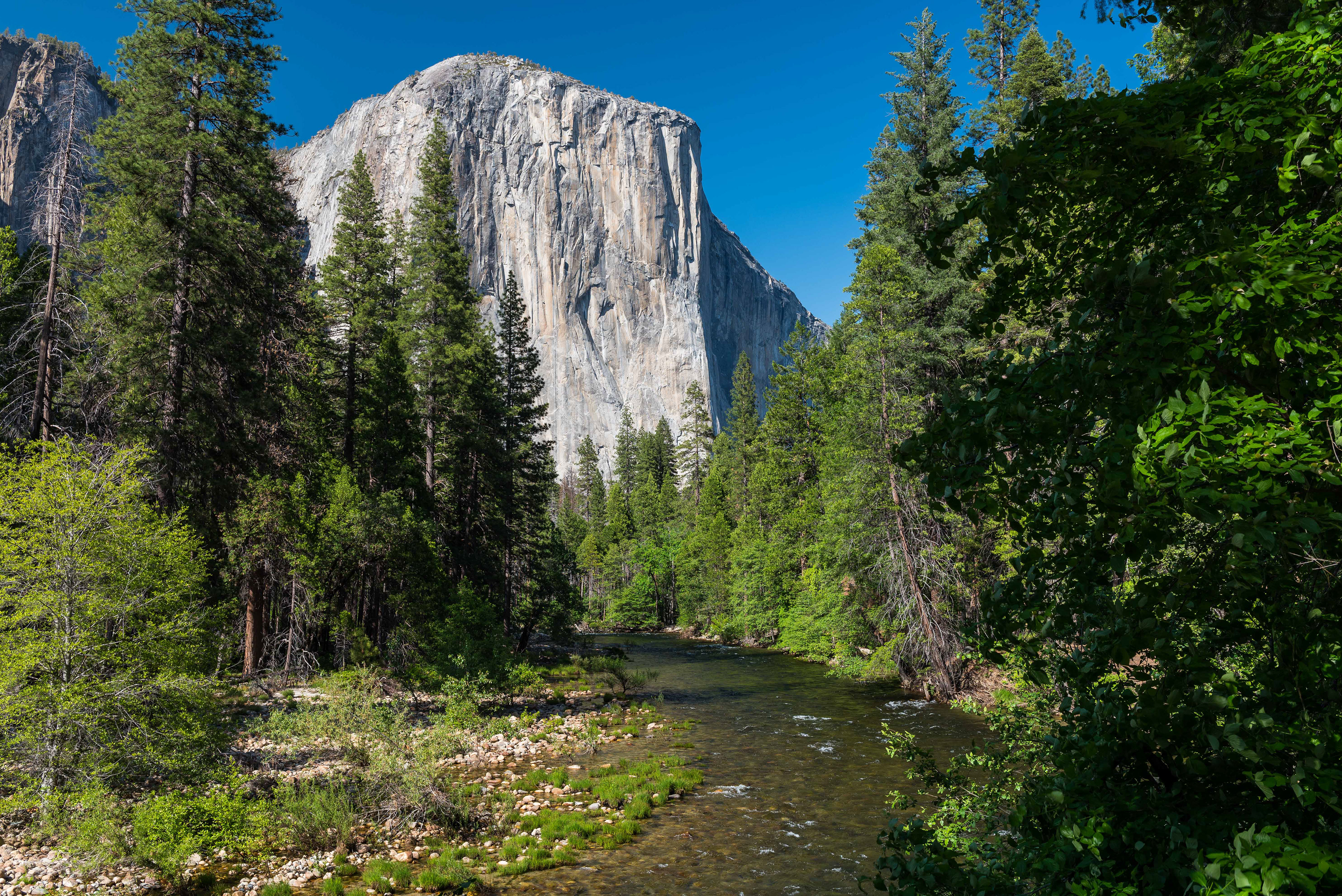 Merced and El Cap. Yosemite National Park
