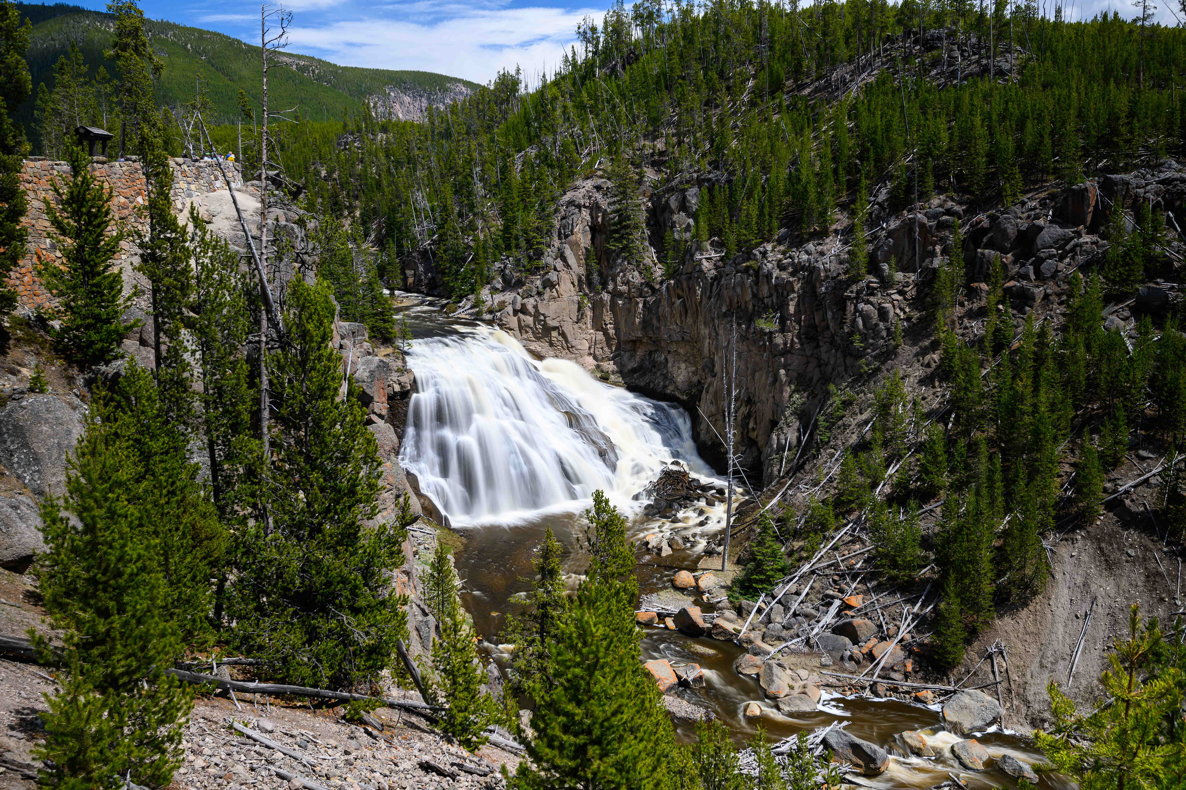 Gibbon Falls. Yellowstone National Park