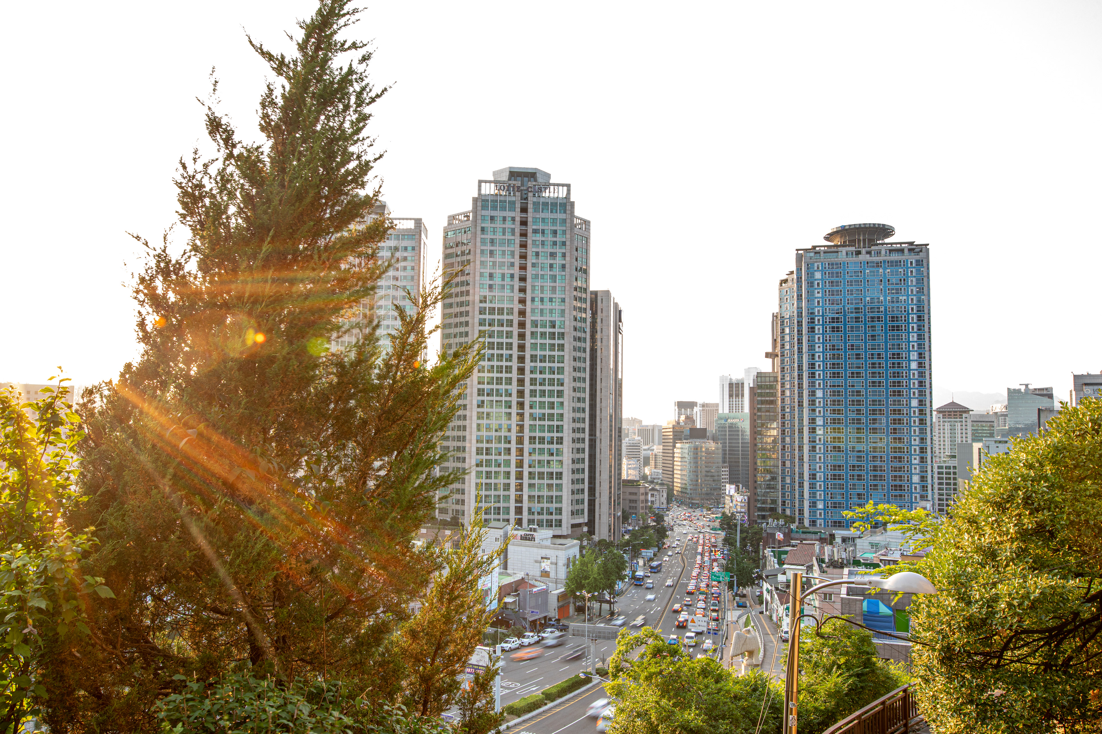 City buildings framed by trees in soft evening light