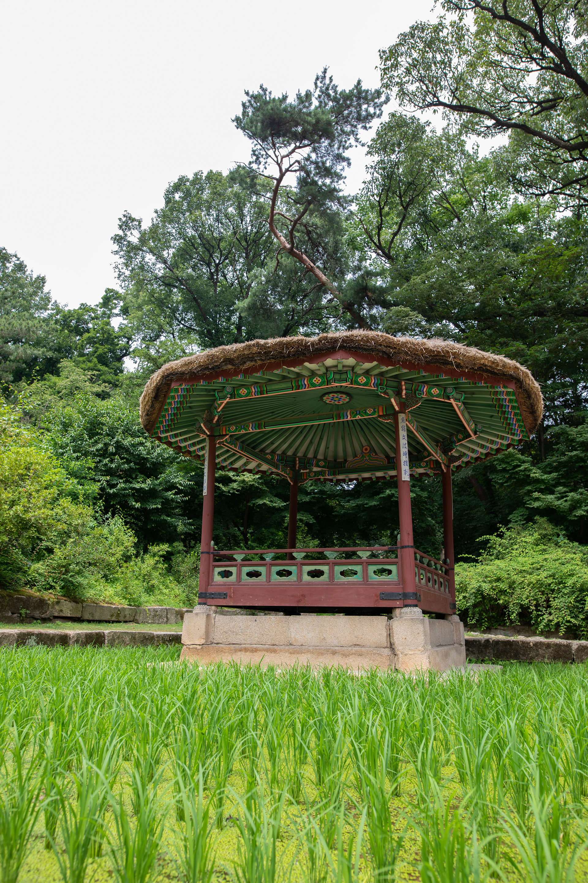 Stone monument surrounded by green trees