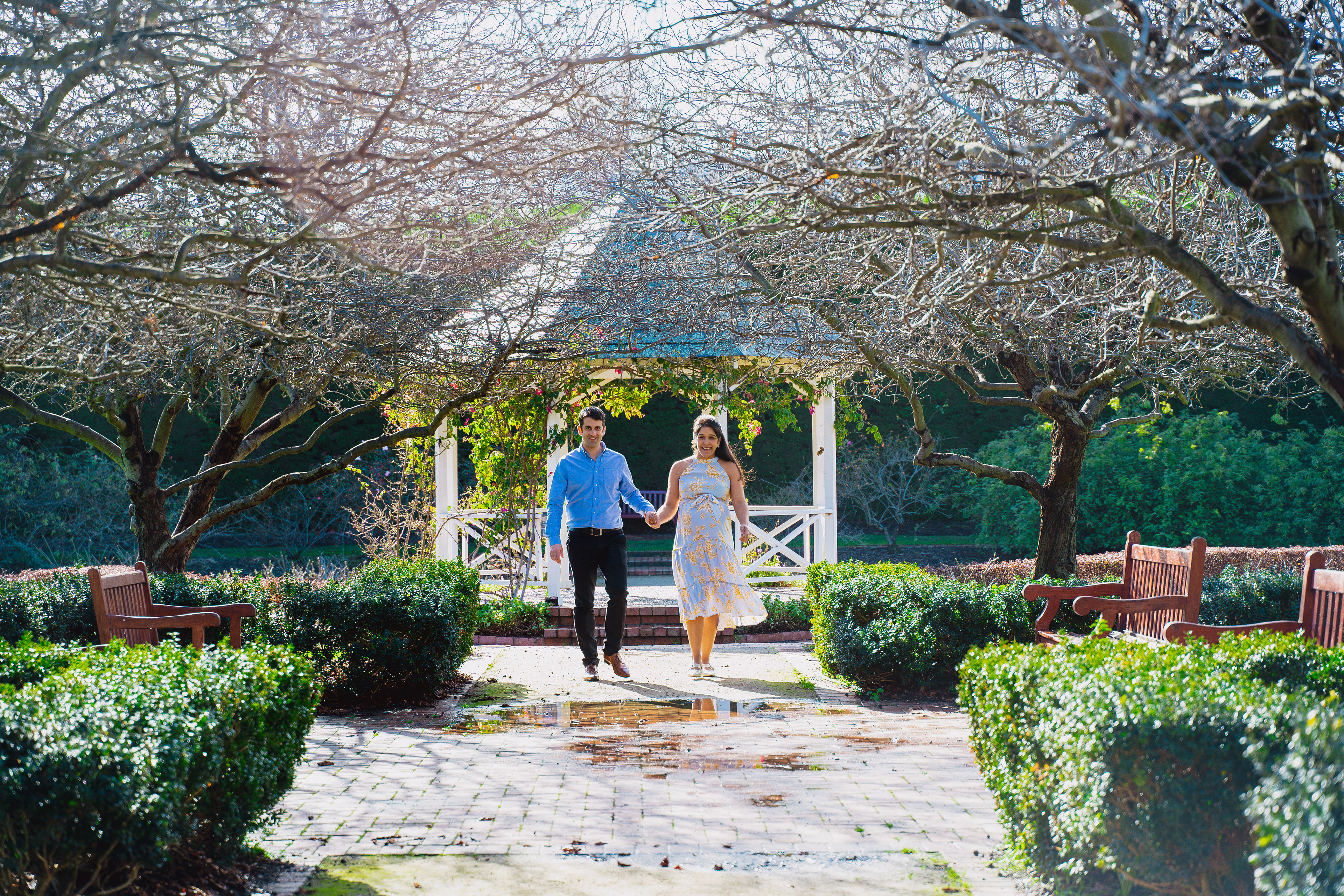 Family framed by an avenue of trees