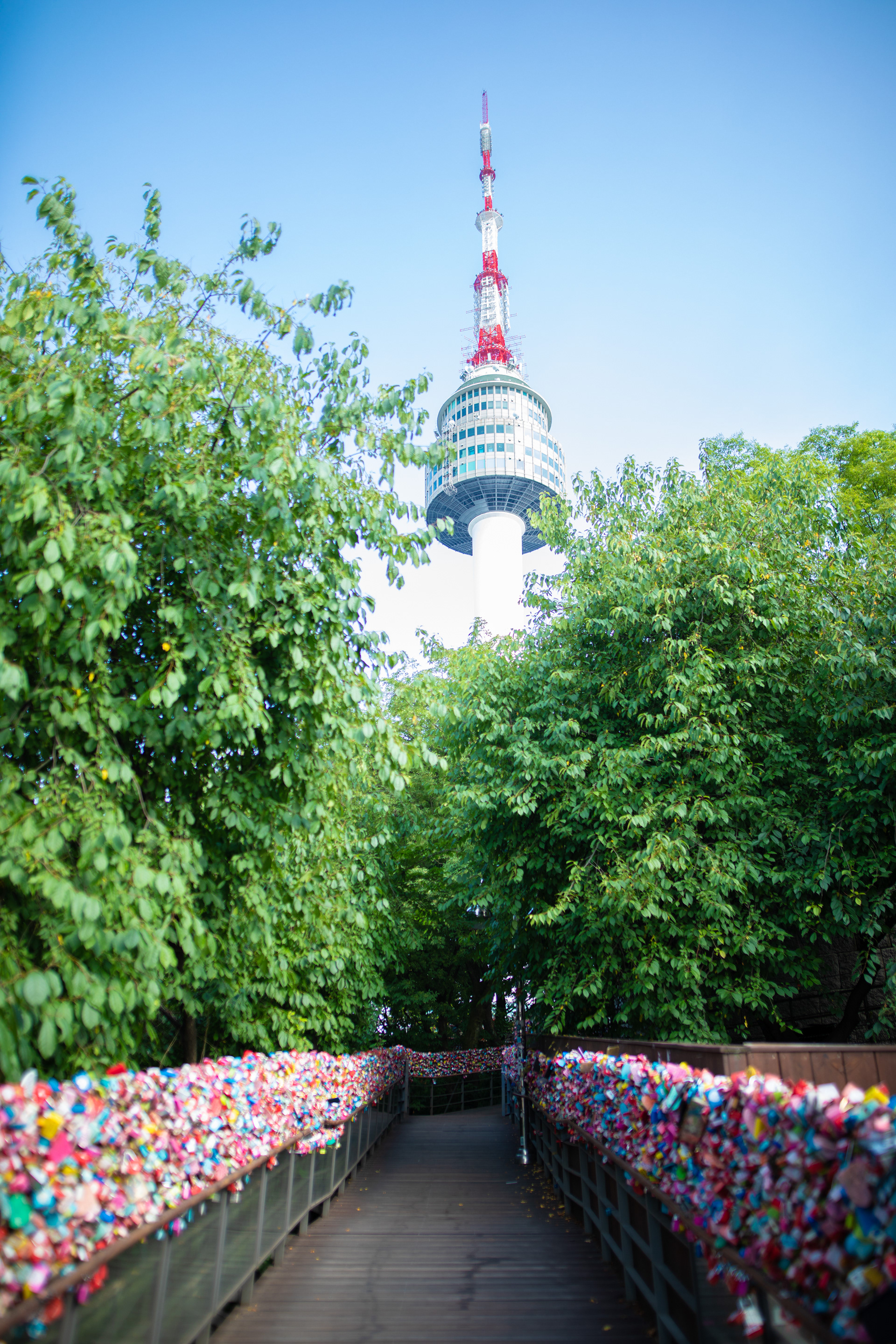 Tower rising above a leafy walking path