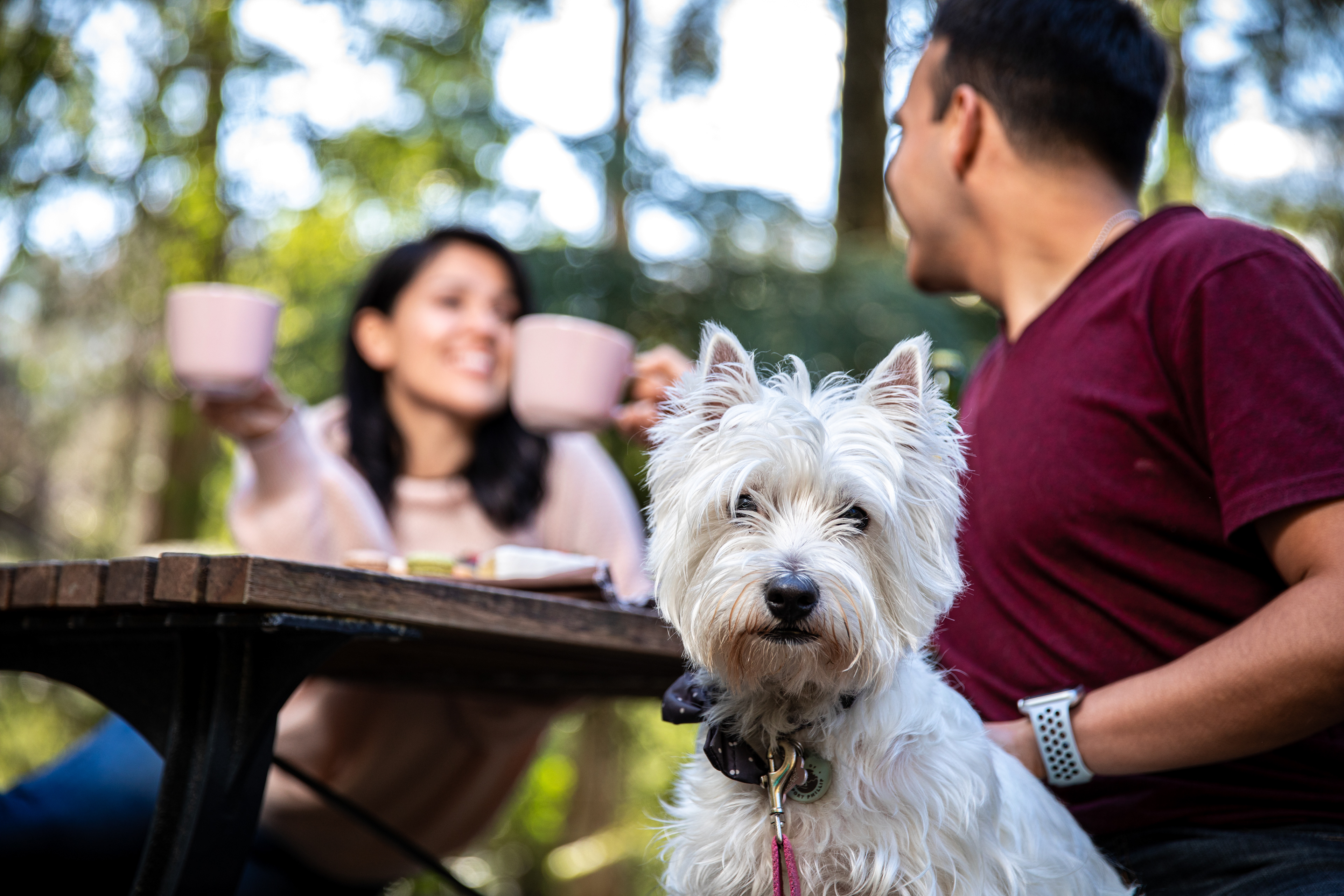 Couple sitting at an outdoor table with their dog