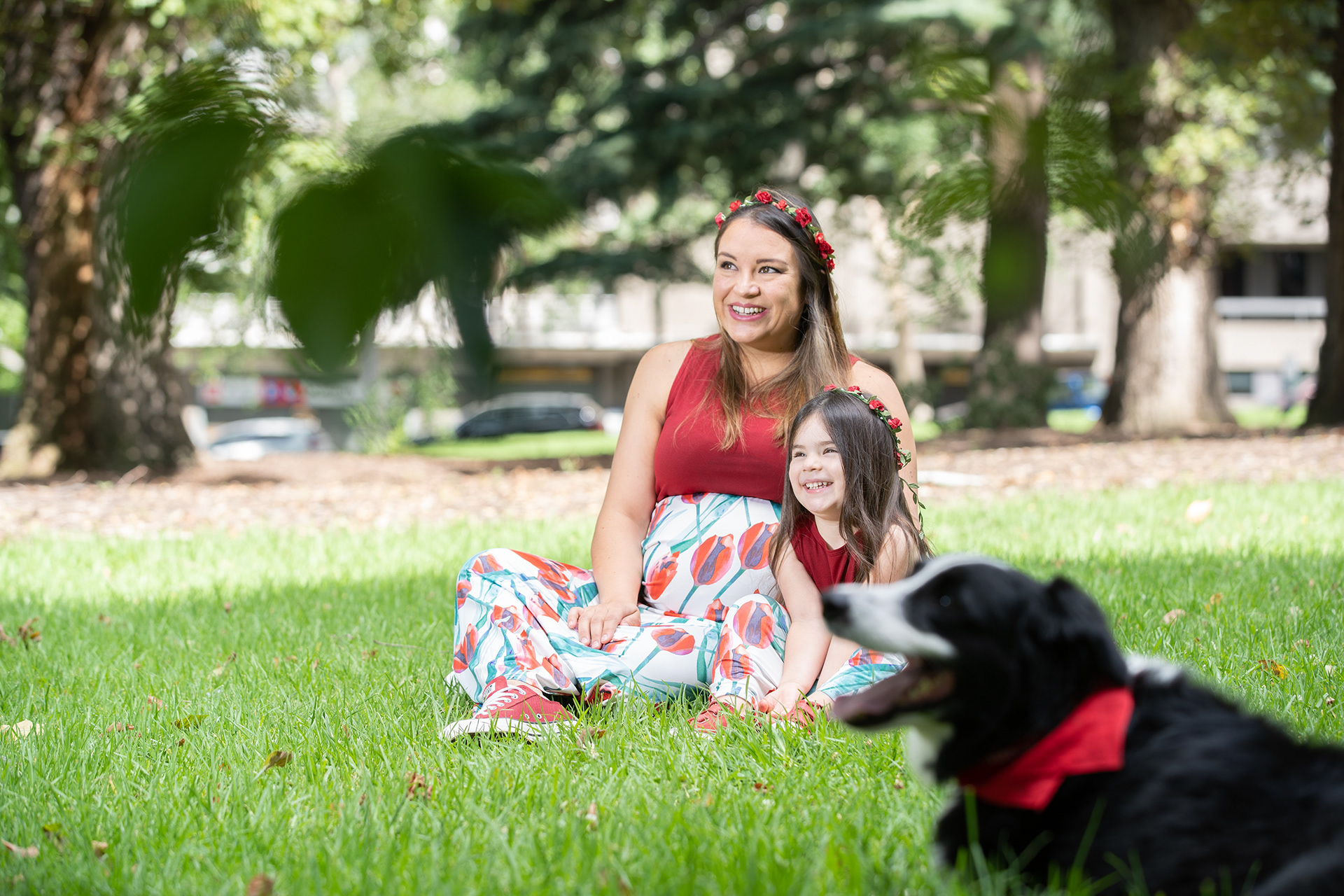 Couple sitting on a park bench with their dog