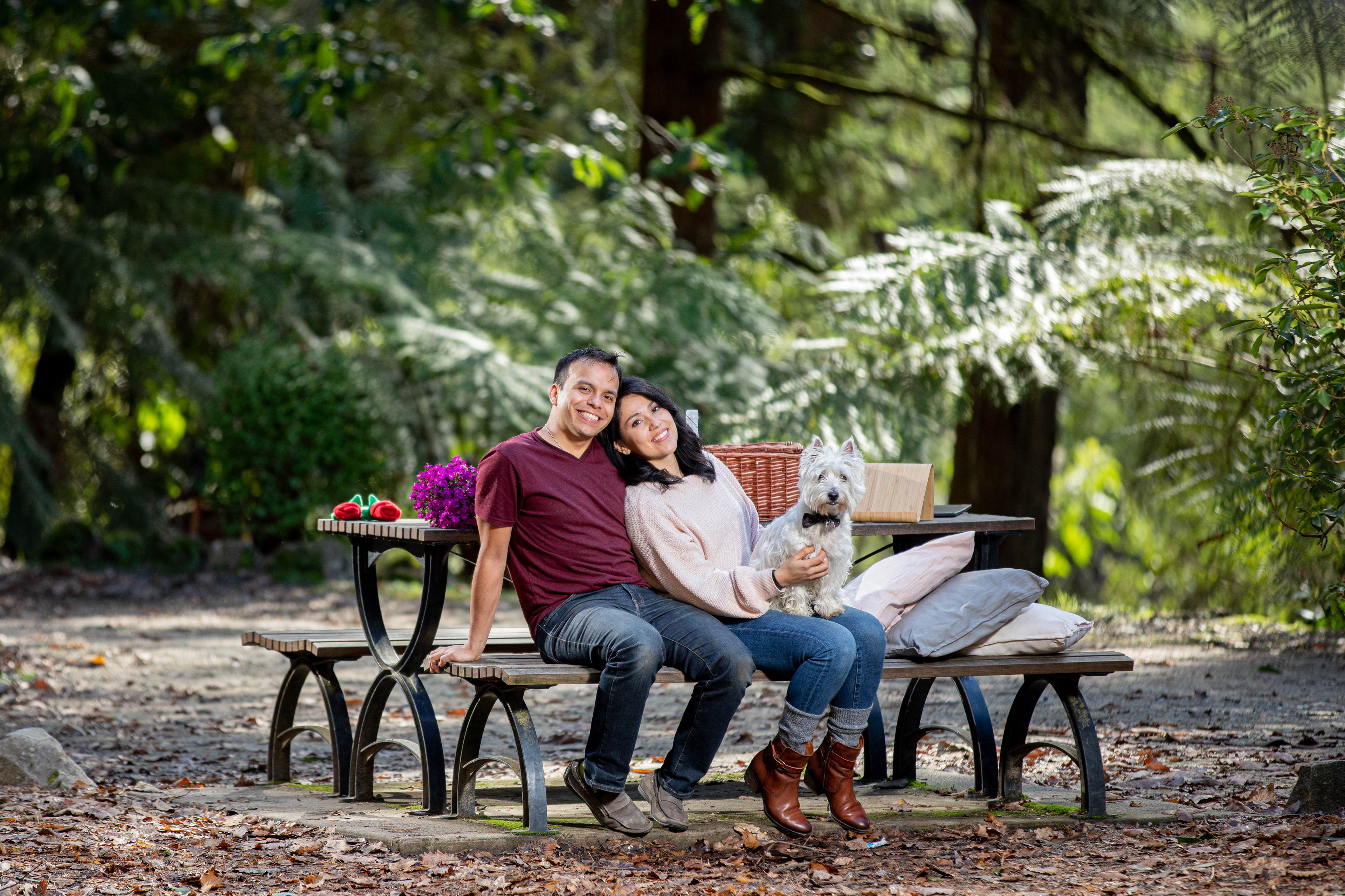 Couple relaxing together on a park bench