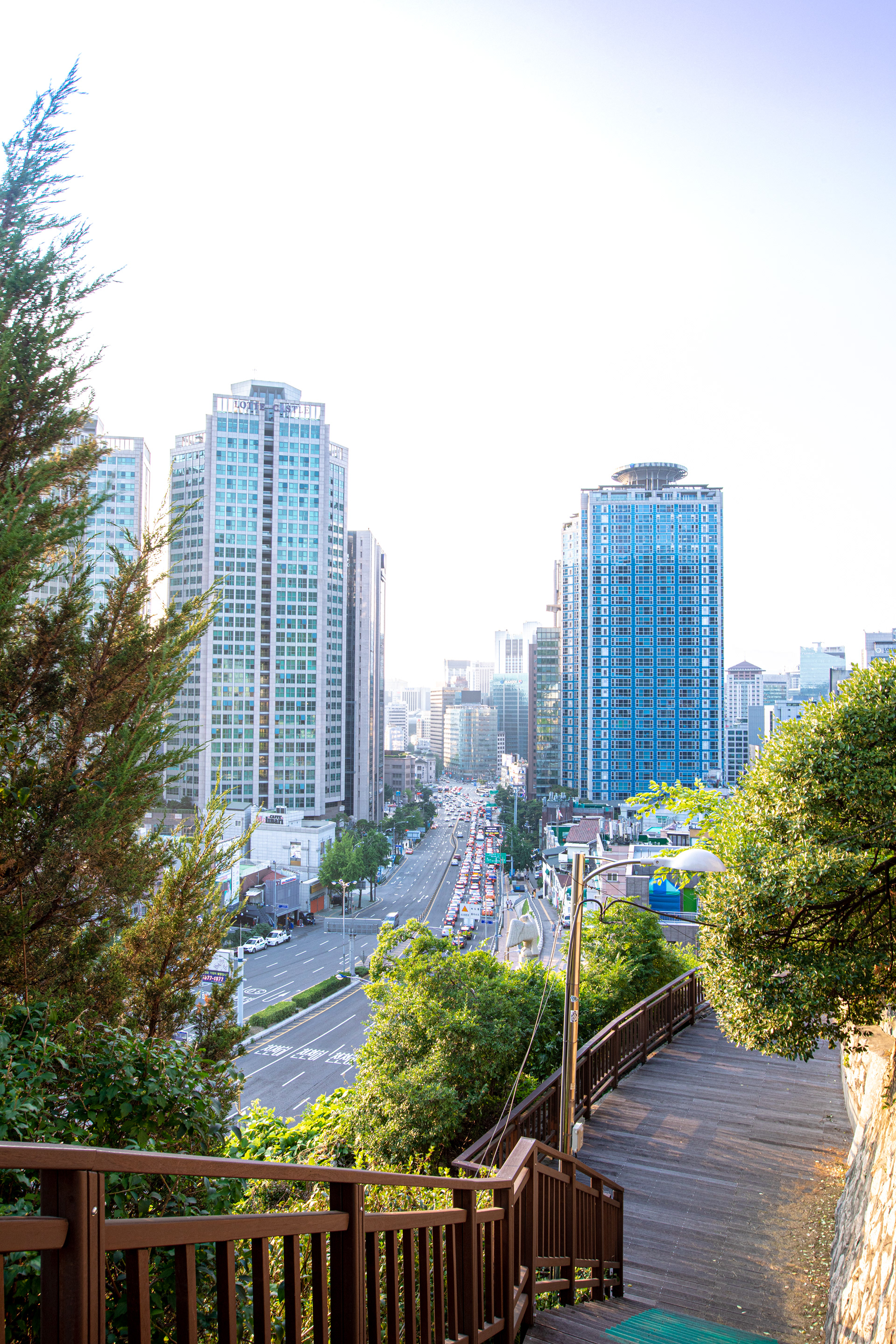 Tall residential buildings viewed between trees